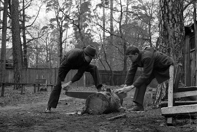 Two men in dark jackets and trousers use a large two-person crosscut saw to cut through a fallen log. The scene is set outdoo...