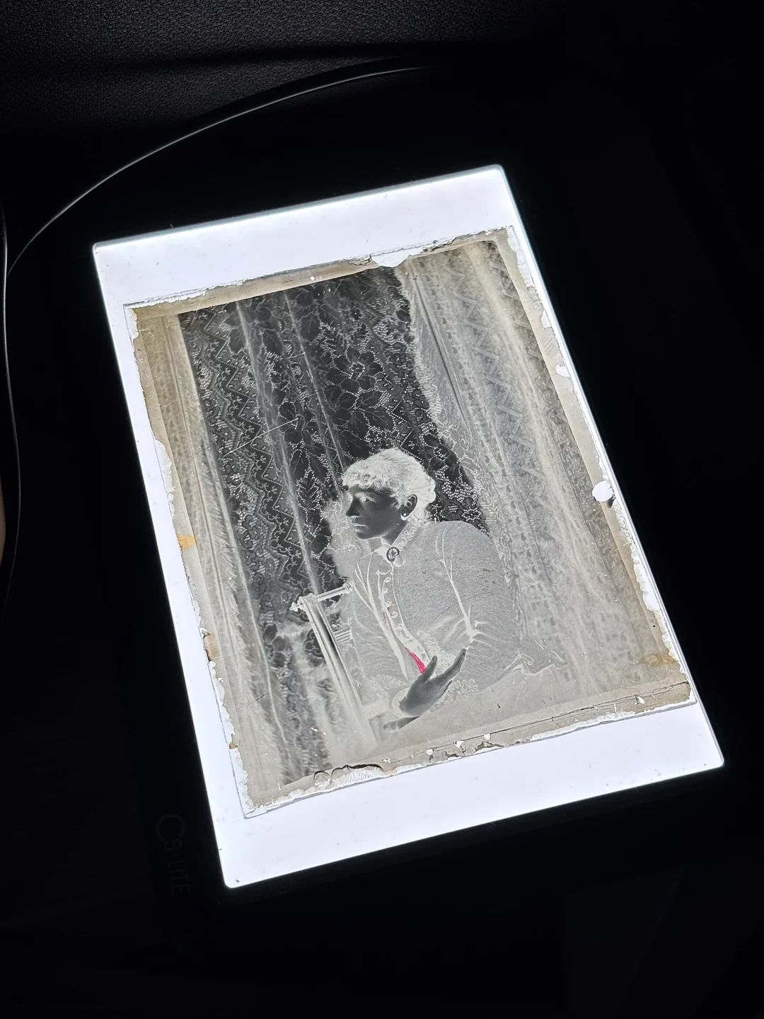 Glass negative on a lightbox