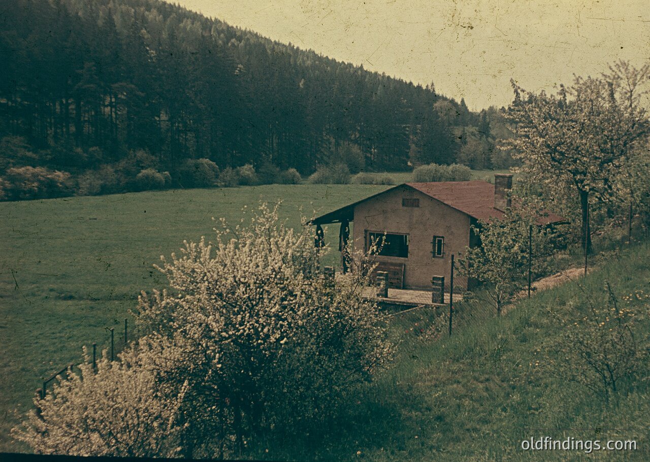 Single-story rural building with flat roof and brick exterior, nestled in a lush, forested valley. Blooming trees in foreground suggest early spring. Likely Eastern European countryside, mid-20th century.