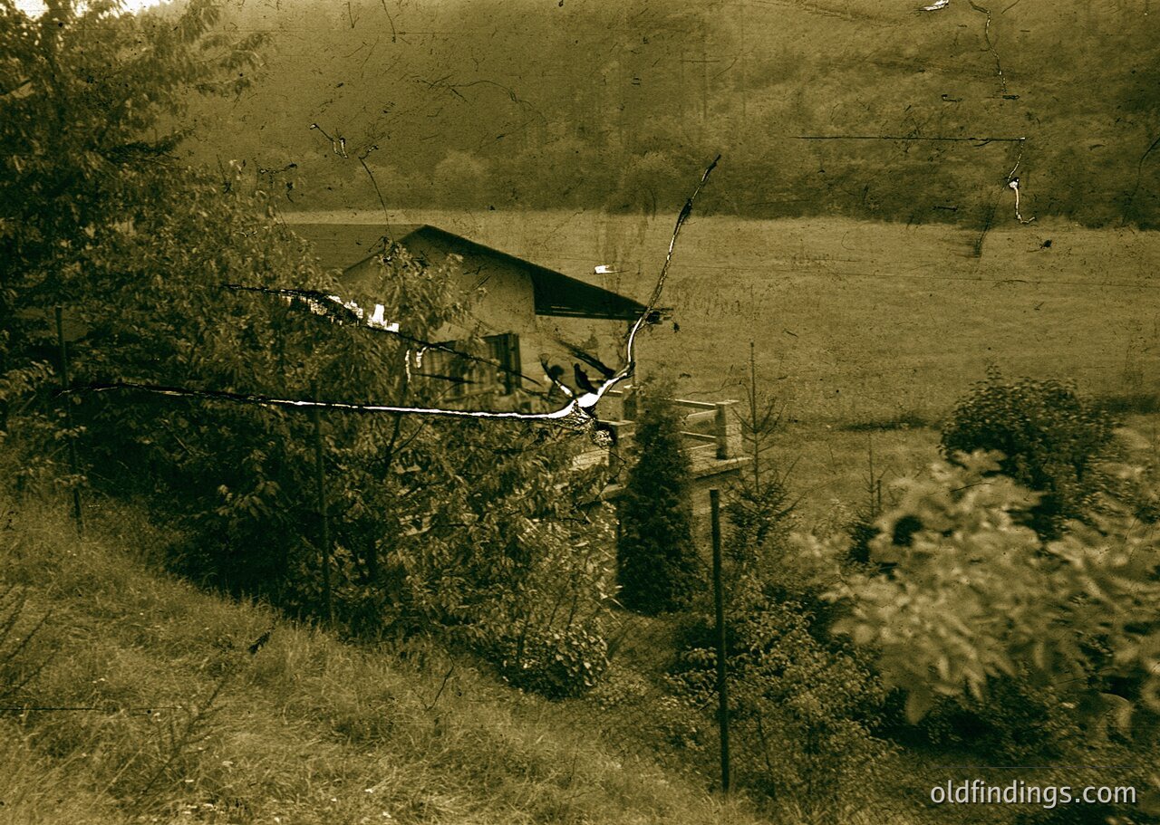 Vintage sepia-toned rural scene featuring a modest, single-story house with a pitched roof, surrounded by dense shrubbery. A wooden utility pole with a single wire extends toward the house, and a rope or chain runs parallel to it. The image suggests early-to-mid 20th century agricultural or suburban setting.