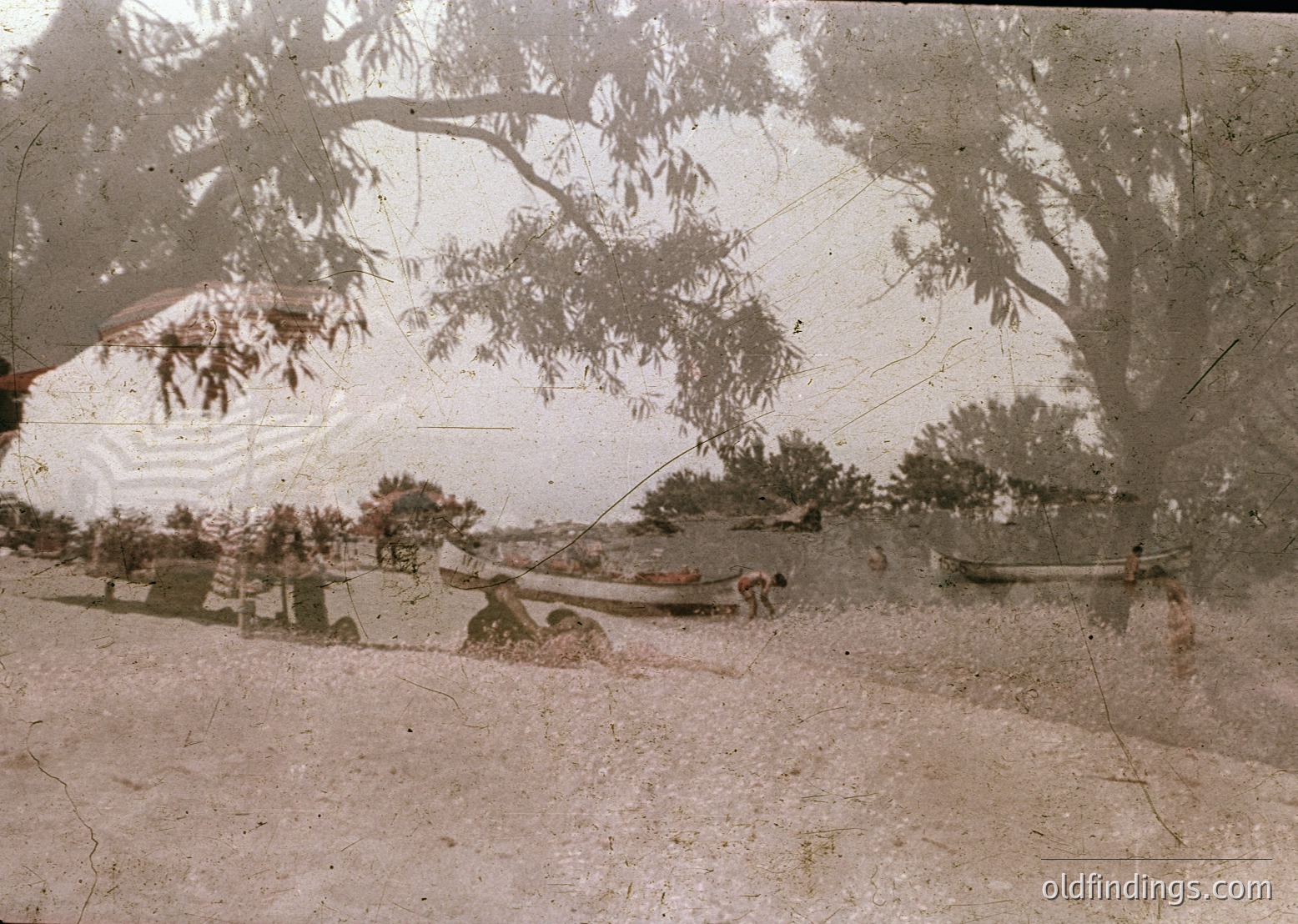 Vintage sepia-toned photo of a rural scene with a horse-drawn cart on a dirt road, flanked by sparse trees and shrubs. The image shows signs of aging, likely from early 20th-century glass plate or film photography. The composition suggests agricultural or transport activity in a countryside setting.