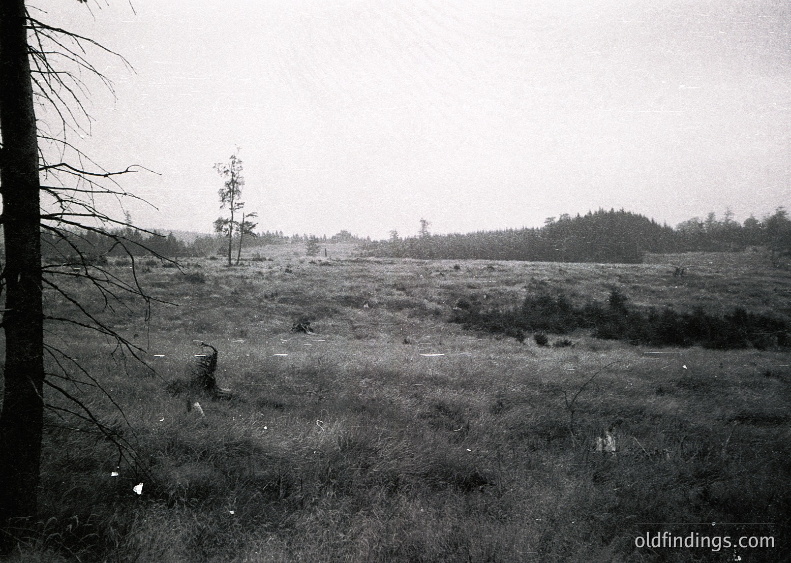Vintage black-and-white landscape of a sparse, overgrown meadow bordered by leafless trees. Distant forest line and faint human figures in the background suggest rural isolation. Likely mid-20th century agricultural or post-industrial terrain.
