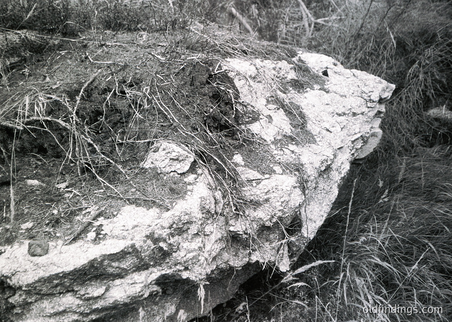 Weathered concrete slab partially buried in dry grass, showing signs of erosion and vegetation growth. Likely a remnant of mid-20th century construction or infrastructure.