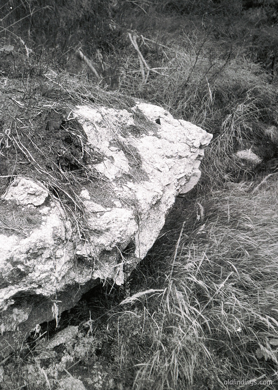 Weathered stone slab partially buried in dry grass, likely a historic foundation or ruin. Textured surface suggests aged construction material, possibly limestone or sandstone. Natural erosion and overgrowth indicate long-term exposure to elements.