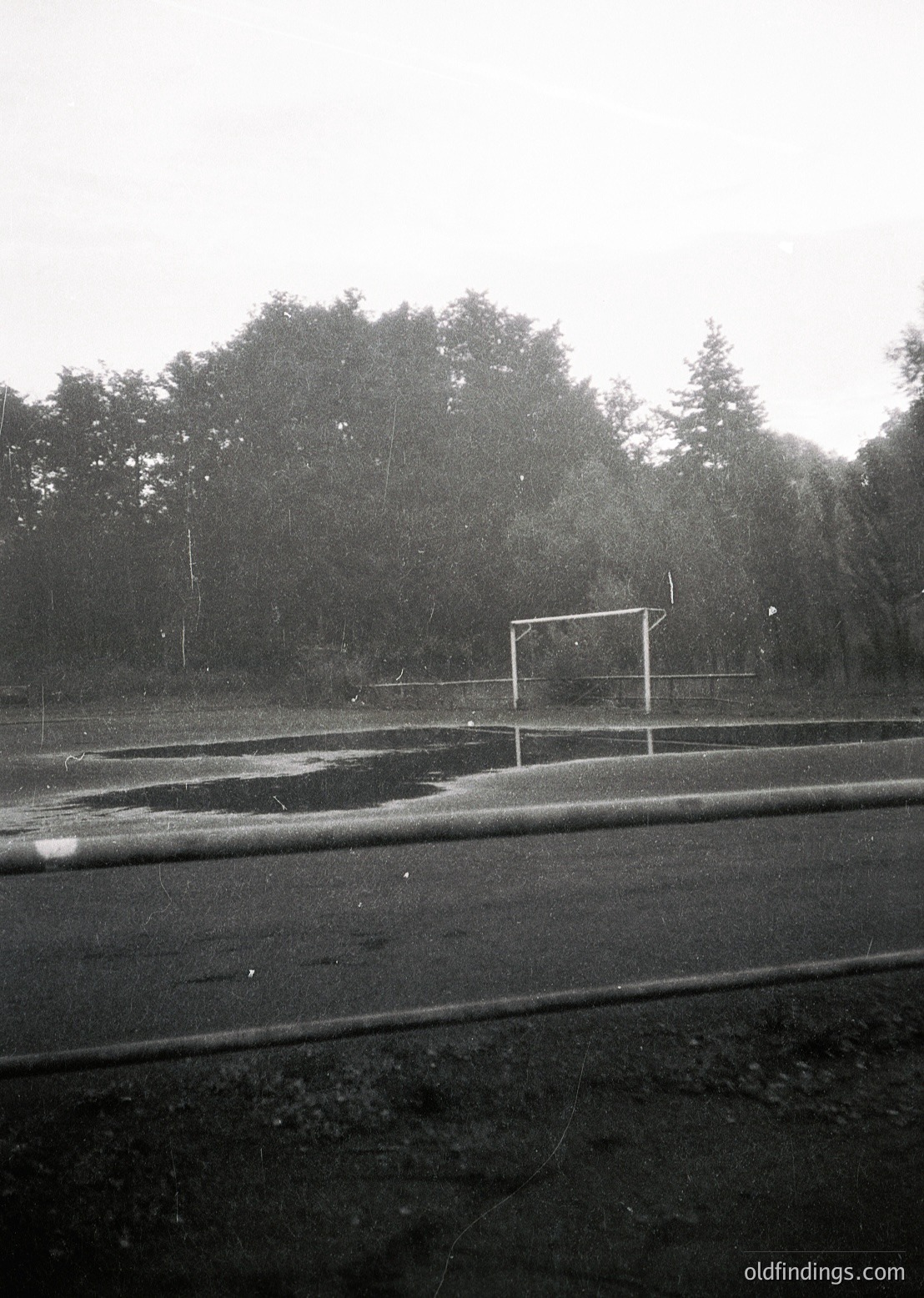 Empty basketball court in light rain, framed by dense evergreen forest. Wet asphalt reflects muted light; goalpost stands alone. Likely mid-20th century urban park or schoolyard.