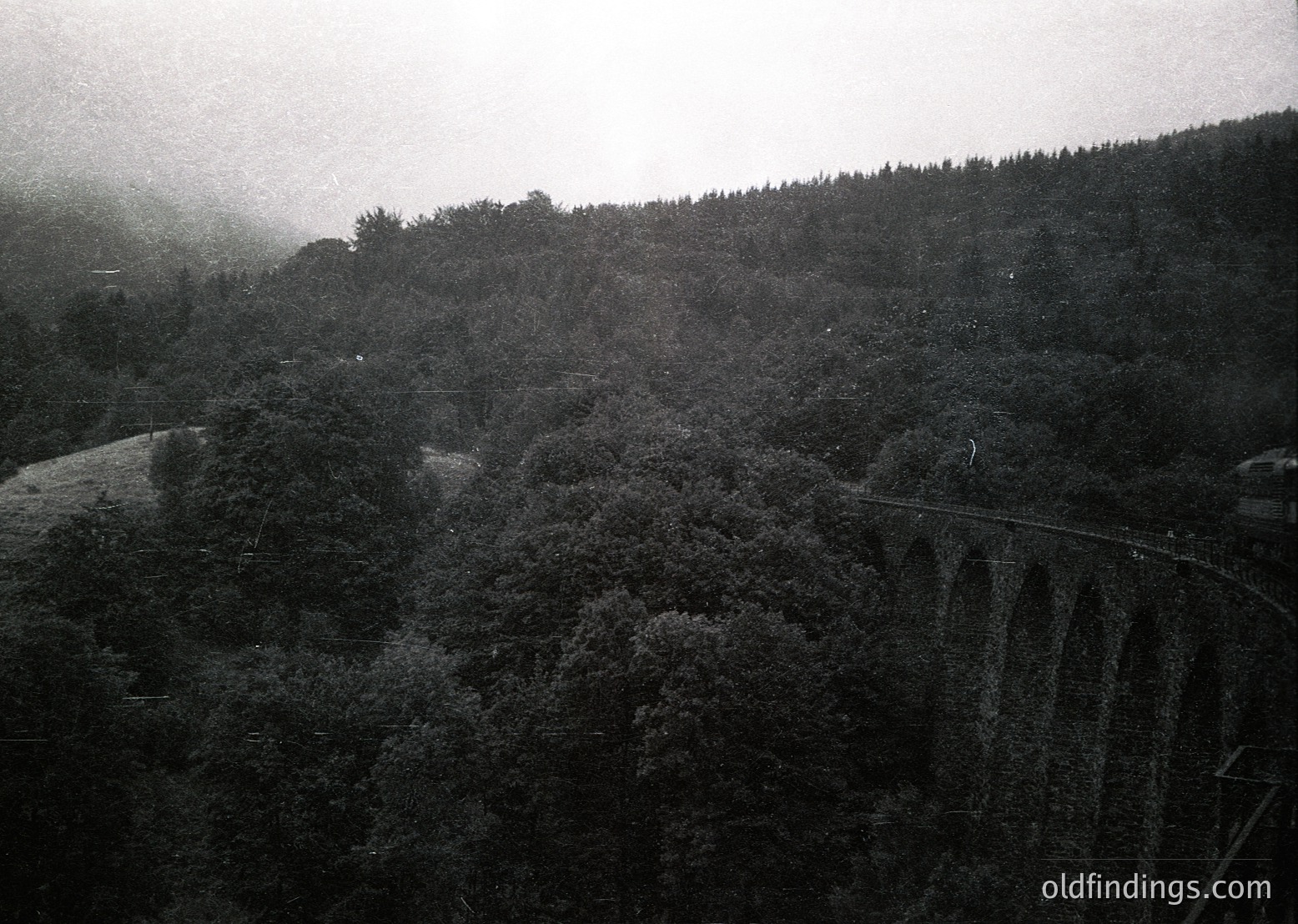 Dense forest landscape with a winding road and retaining wall, captured in monochrome. Mist obscures distant treetops, emphasizing atmospheric depth. Likely European alpine or hilly region.