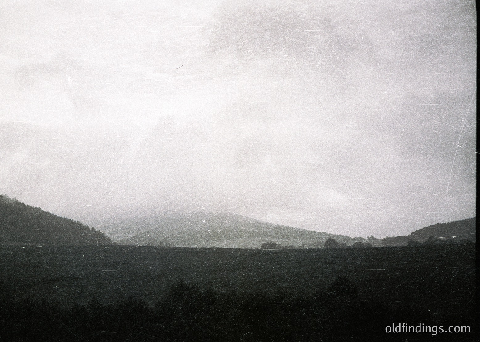 Vintage black-and-white landscape featuring rolling hills and dense forest under overcast skies. Composition suggests early 20th-century photography with grainy texture. Ideal for historical research on rural landscapes or vintage stock imagery.