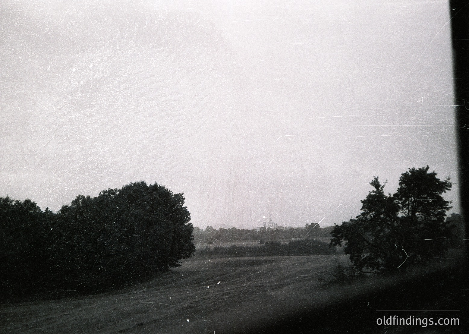 Vintage black-and-white landscape showing dense forest framing a misty, open meadow under overcast skies. Possible early-to-mid 20th century rural setting.