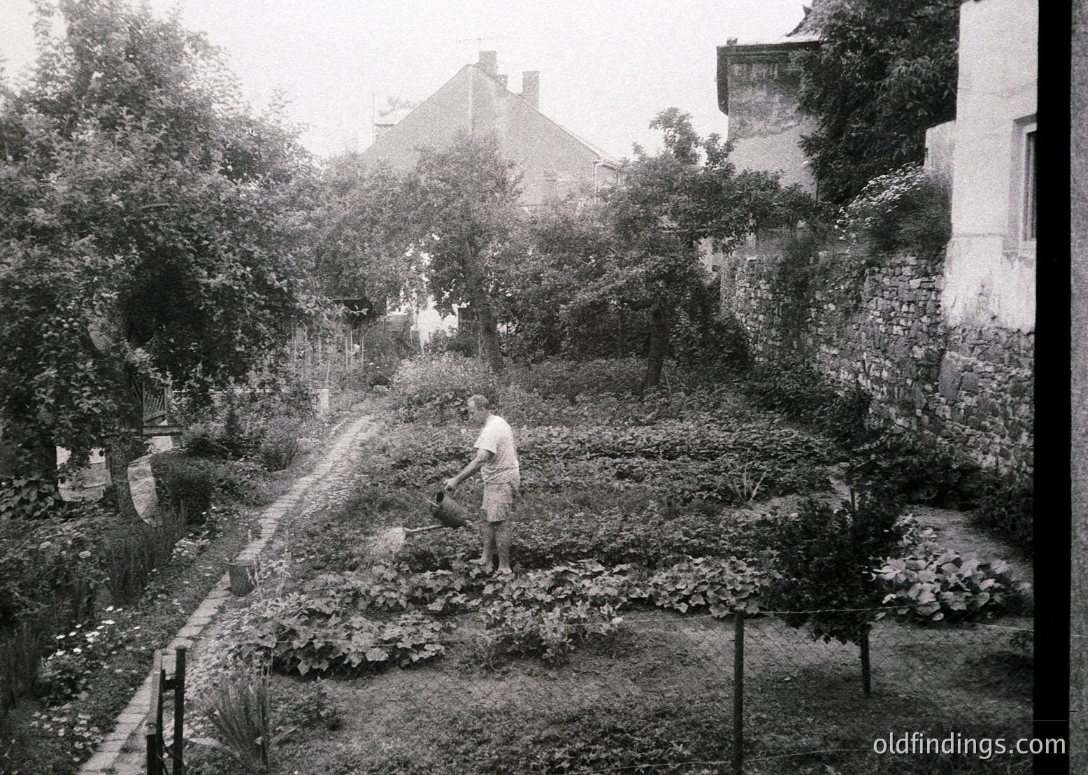 Black-and-white garden scene featuring a man tending raised beds in a sloped backyard. Surrounding structures include a brick house with a pitched roof and a visible laundry line. Dense greenery and mature trees frame the space. Likely mid-20th century European residential setting.