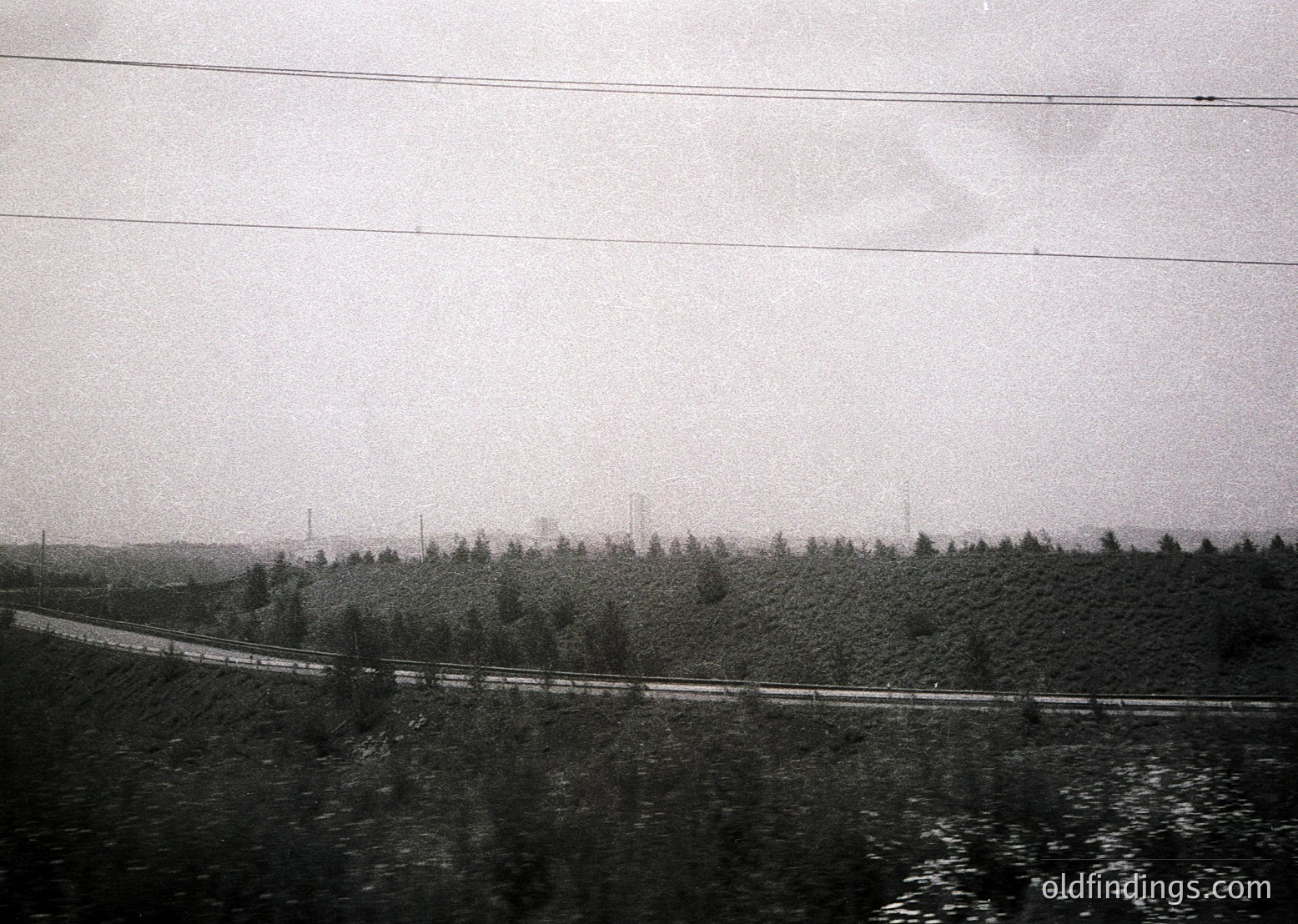 Black-and-white train window view of a dense, forested landscape beside a curved railway track. Overhead wires and poles suggest electrified rail. Dense foliage and misty horizon evoke a mid-20th century industrial travel aesthetic.