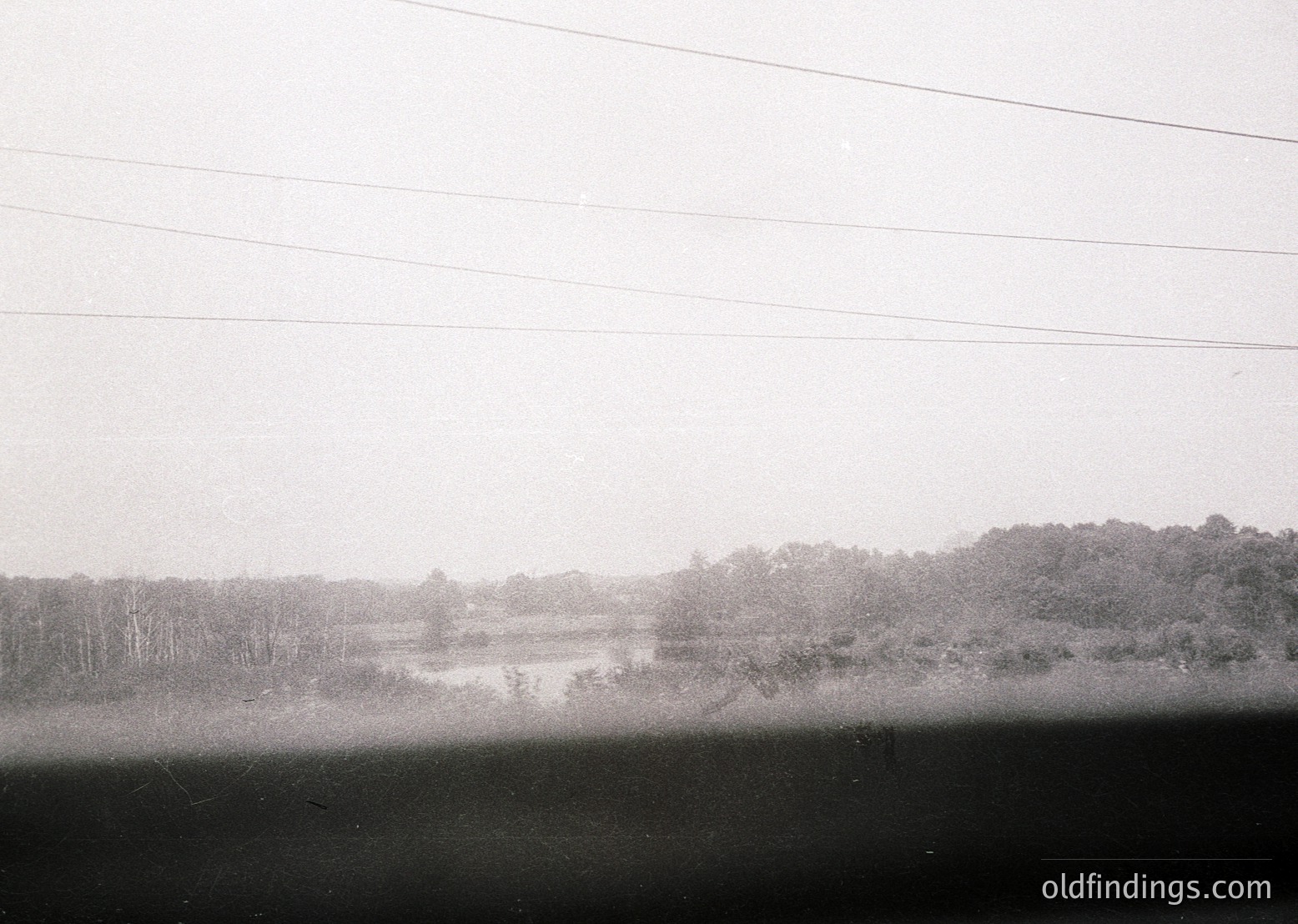 Black-and-white landscape shot of a serene wetland area with dense foliage and a small body of water, framed by power lines. Composition suggests mid-20th century documentary or travel photography.