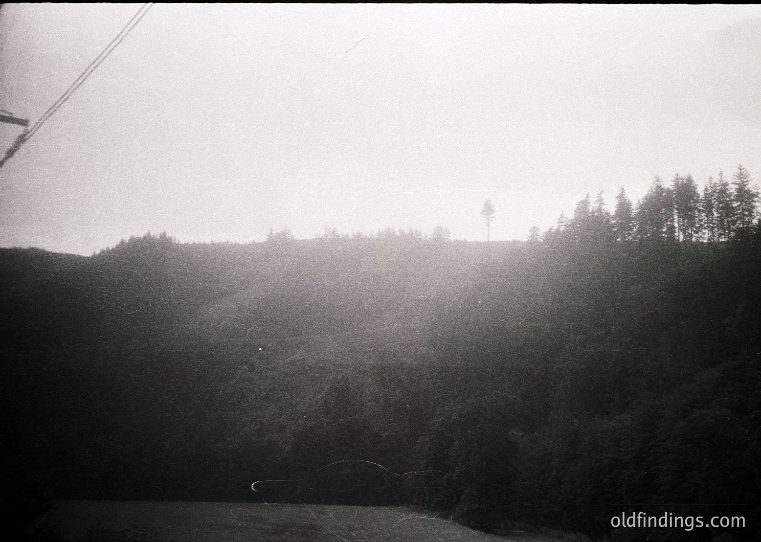Black-and-white aerial view of dense forest canopy over a steep valley, likely captured mid-20th century. Fog obscures lower terrain, emphasizing misty alpine atmosphere. Cable or power line visible top-left, suggesting remote but accessible location.