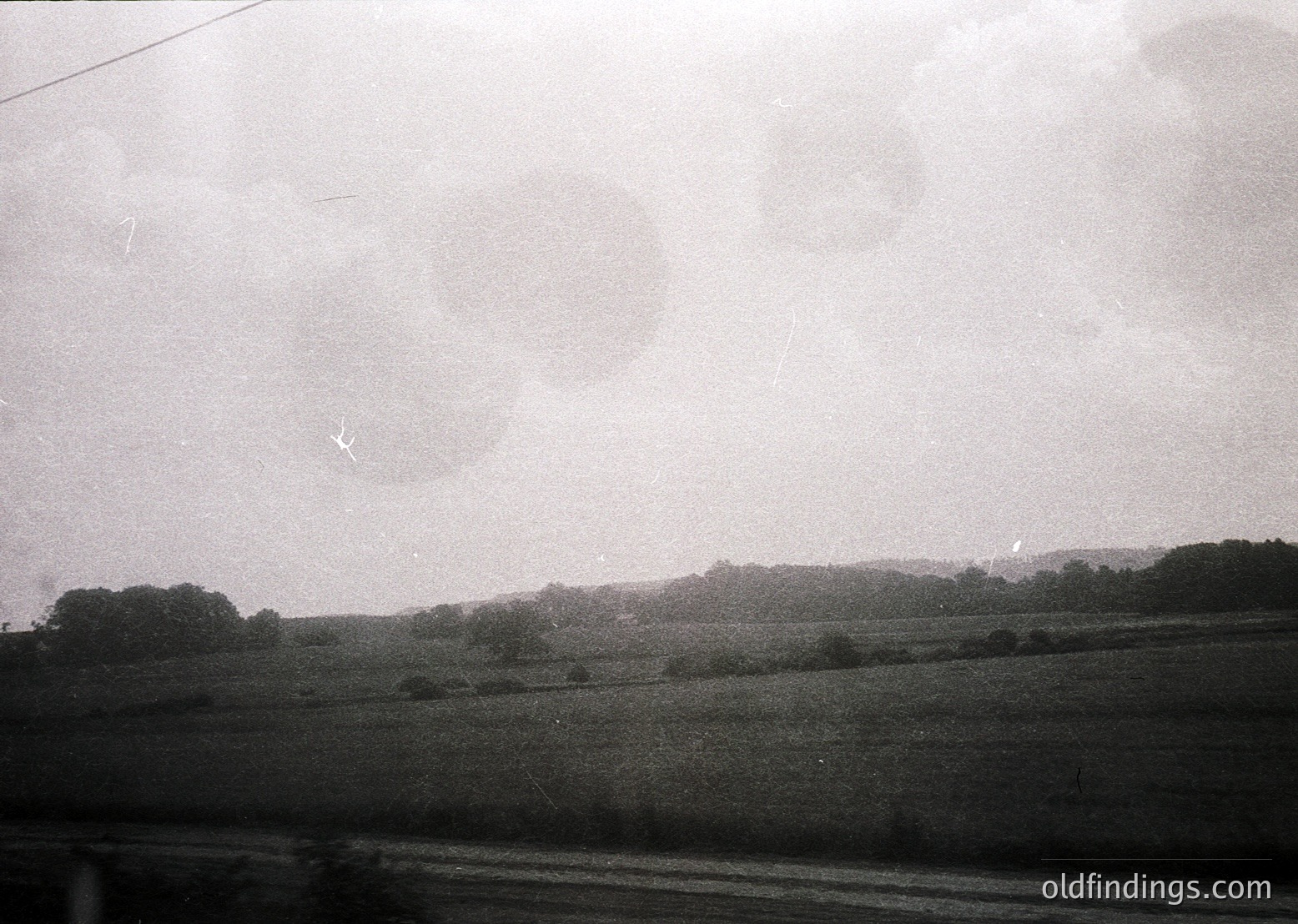 Vintage black-and-white landscape shot of open fields with scattered trees under overcast skies. Minimalist composition highlights rural horizon and soft lighting. Likely mid-20th century agricultural scene.