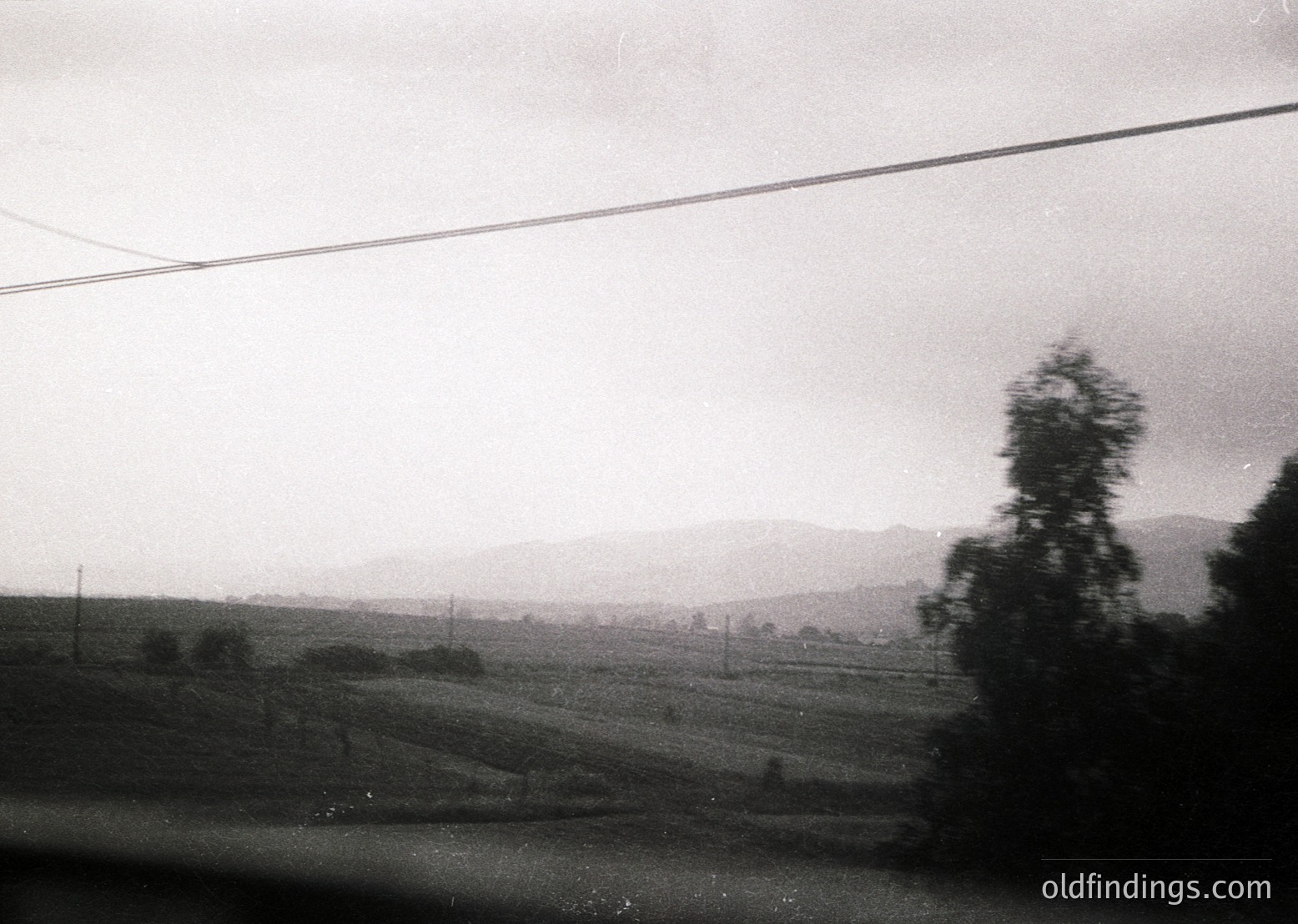 Mid-20th century black-and-white rural landscape: misty fields, sparse trees, and distant hills under overcast skies. Power lines frame the top edge, suggesting early electrification. Likely Eastern European countryside, 1950s–1960s.