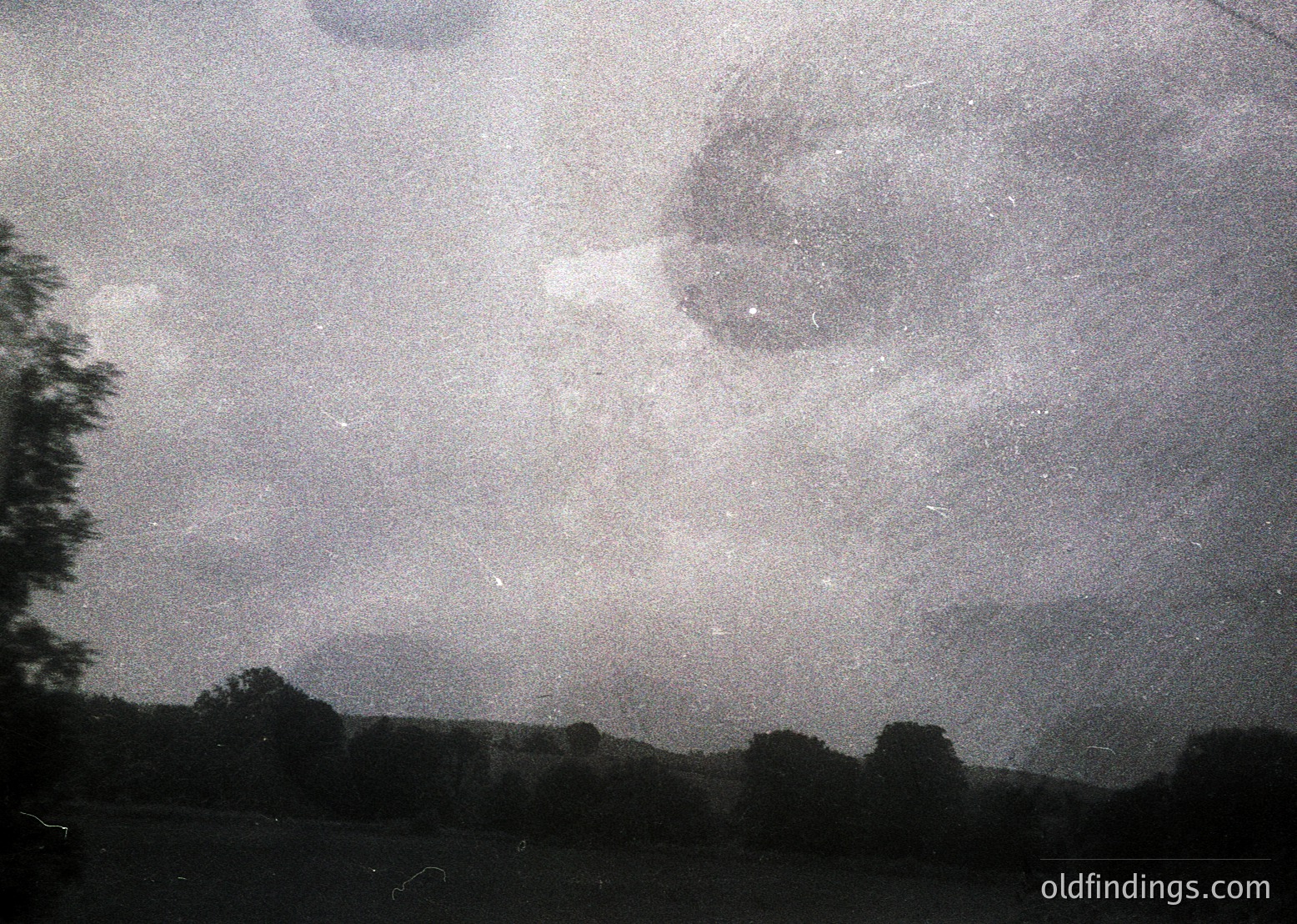 Vintage sepia-toned aerial view of dense forest canopy under overcast skies. Likely mid-20th century due to grainy texture and limited detail. Ideal for historical research on deforestation or landscape evolution.