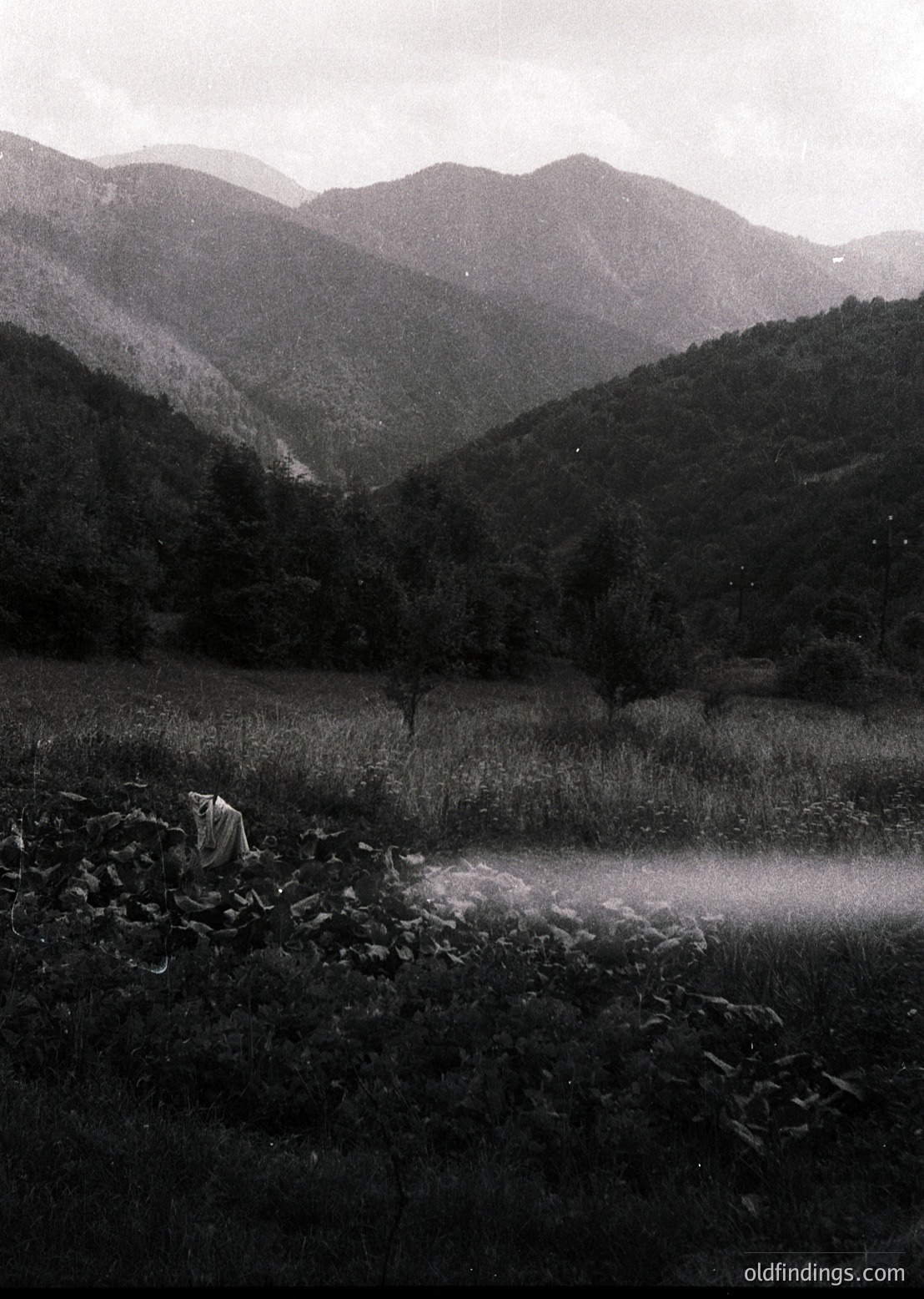 Striking black-and-white landscape of rugged alpine terrain with misty riverbed and distant peaks. Dense forest frames the valley floor, leading to layered mountain ridges. Composition evokes mid-20th century travel or documentary photography.