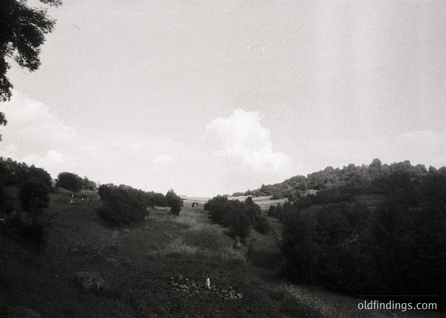 Black-and-white rural landscape featuring rolling hills, scattered trees, and a lone figure in motion near a stream. Mid-20th century agricultural setting with open fields and dense foliage.