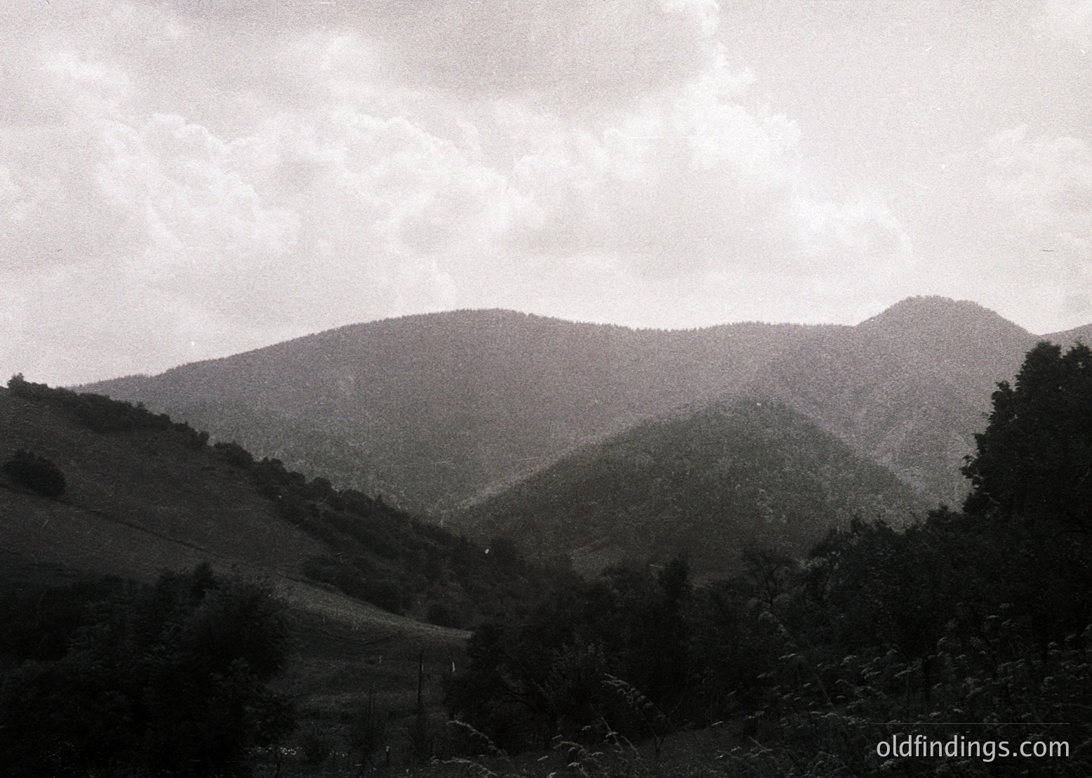 Black-and-white landscape of rolling hills and dense forest under overcast skies. Dramatic lighting enhances texture of terrain. Likely mid-20th century due to monochrome style. Ideal for vintage travel or nature documentary references.