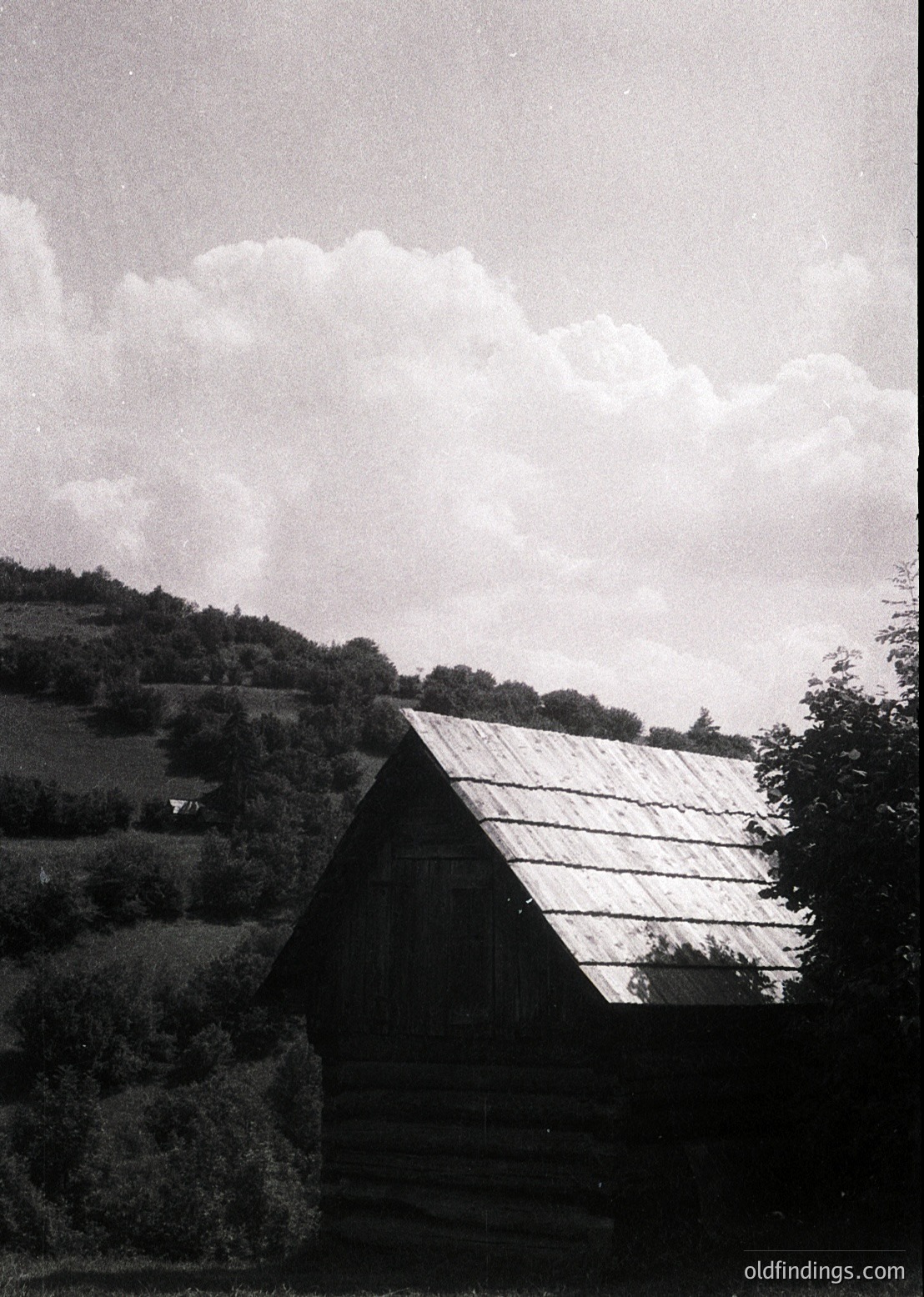 Rustic wooden cabin with gabled roof set against rolling hills and dense forest. Black-and-white monochrome evokes mid-20th century rural architecture. Stone foundation and weathered wood suggest long-term use. Ideal for vintage travel, countryside design, or historical research.