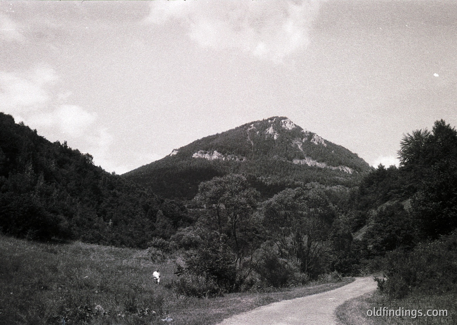 Black-and-white landscape featuring a lone figure ascending a winding dirt road toward a rocky peak surrounded by dense forest. Dramatic lighting enhances textures of rugged terrain and foliage. Evokes mid-20th century outdoor exploration or nature photography.