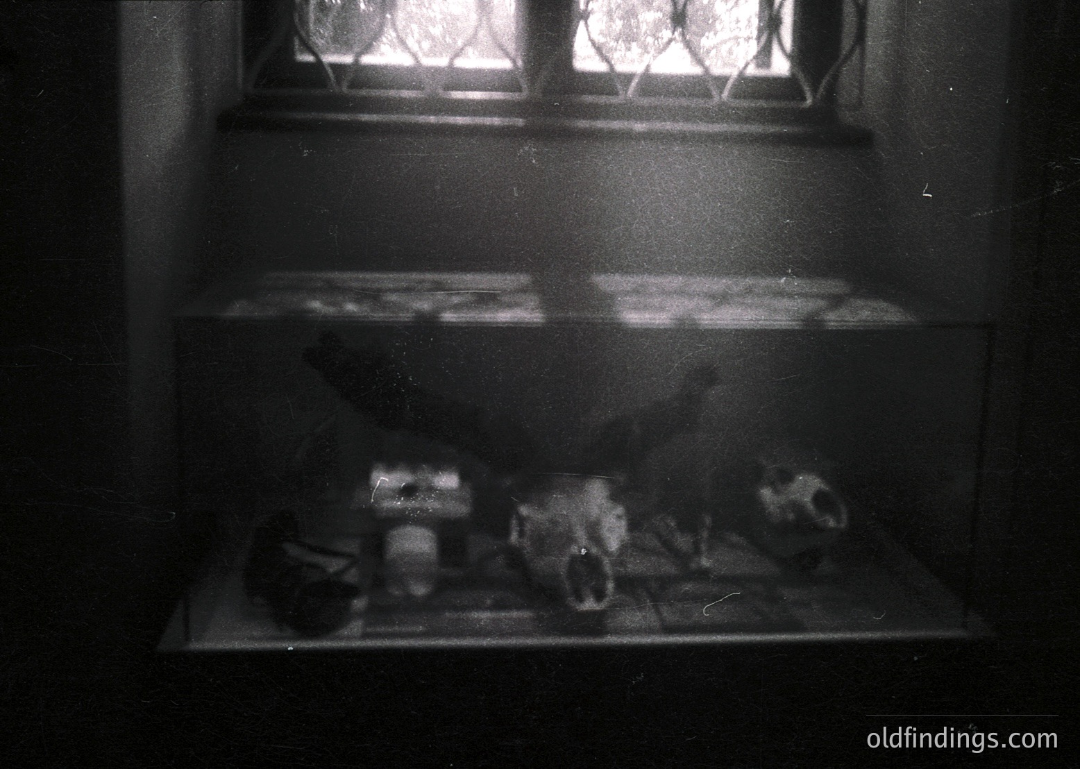 Vintage black-and-white shot of a dimly lit window shelf holding vintage glassware and crockery. Distressed, aged bottles and plates suggest mid-20th century domestic decor. Soft focus enhances nostalgic, timeless appeal.