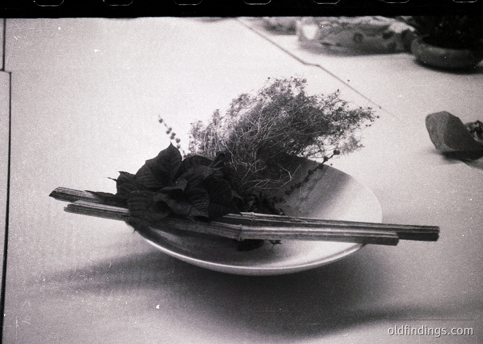 Vintage black-and-white still life: minimalist white bowl with dried botanicals (bamboo shoots, dried leaves) and chopsticks. Composition evokes 1970s–80s Japanese minimalism or Zen aesthetics. Ideal for design references, historical food studies, or stock photography.