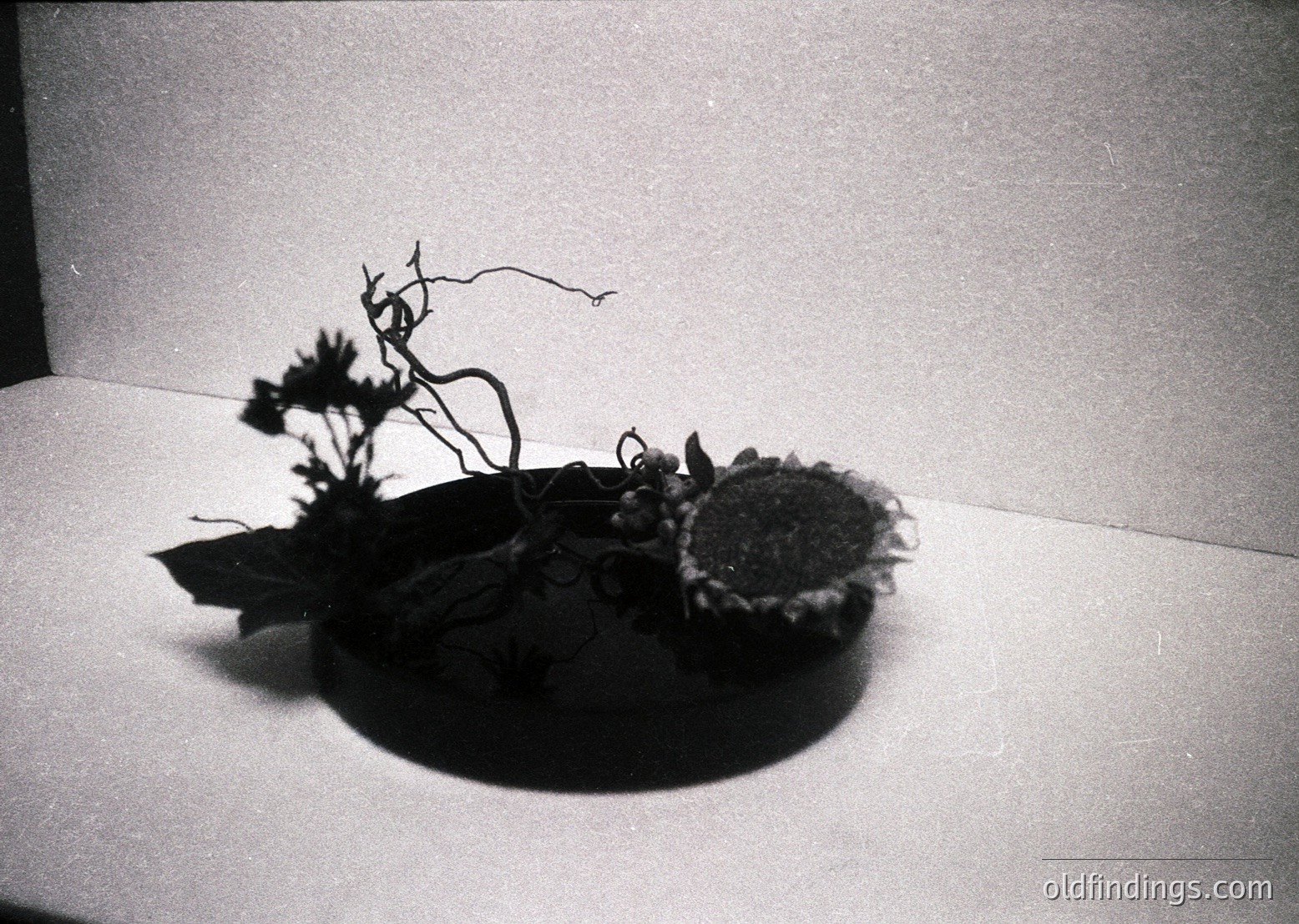 Minimalist black-and-white still life of dried botanical arrangement in shallow ceramic bowl. Branches with dried seed pods and foliage contrast against smooth, matte surface. Composition emphasizes texture and negative space. Ideal for vintage-inspired design references or botanical studies.