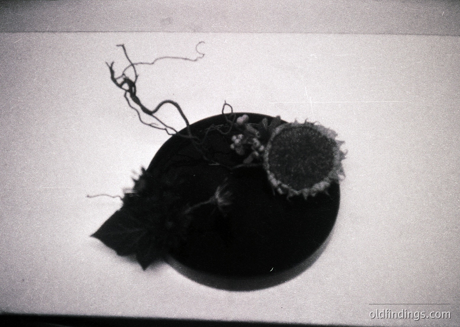 Vintage black-and-white close-up of a worn, frayed hat with frayed brim and frayed strings attached. Likely a 1950s–1970s accessory, possibly a fedora or similar style. Textured fabric and aged appearance suggest historical or nostalgic use.