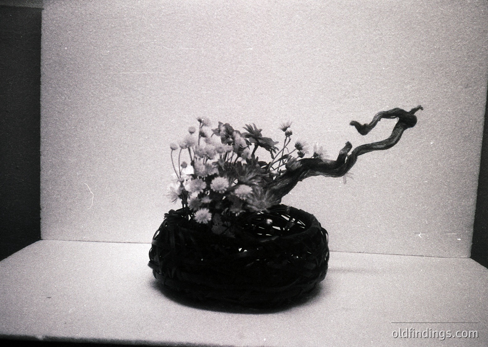 Black-and-white still life featuring a ceramic vase with twisted, organic handle holding wildflowers. Textured, matte surface suggests handcrafted pottery. Minimalist composition highlights natural elements and craftsmanship.