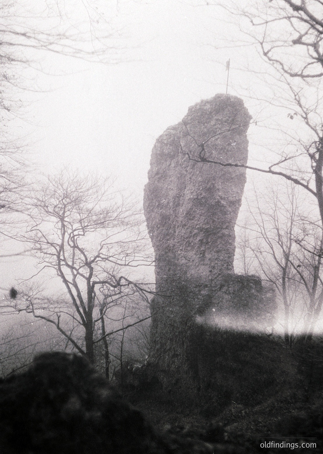 Misty alpine rock formation rising from dense forest, partially obscured by fog. Dramatic verticality contrasts with bare winter trees. Likely a high-altitude landscape, possibly European Alps or similar range.