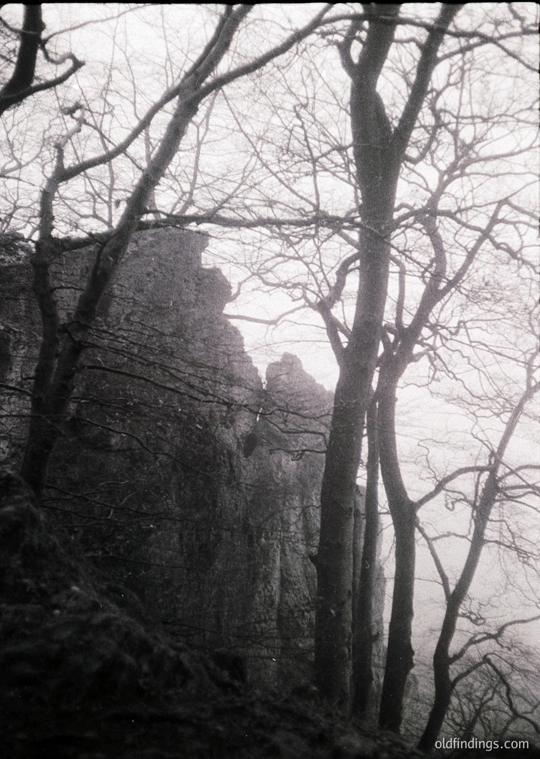 Silhouetted figures climb rocky terrain framed by bare winter trees under overcast skies. Dramatic monochrome composition evokes rugged alpine landscapes. Likely 19th–20th century vintage mountaineering or hiking scene. Ideal for historical adventure or outdoor design references.