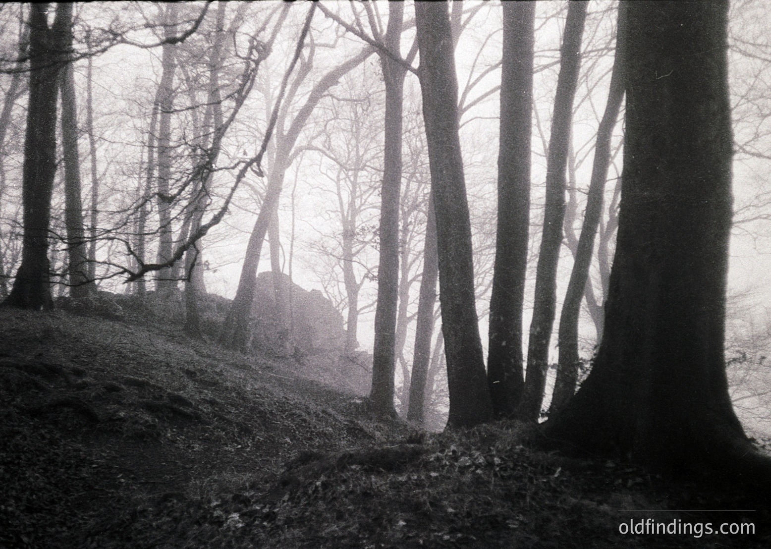 Misty forest glade with leafless trees framing a partially obscured stone ruin. Monochrome, high-contrast composition evokes autumn/winter. Possible European countryside, 20th-century vintage. Ideal for moody historical or nature-themed projects.