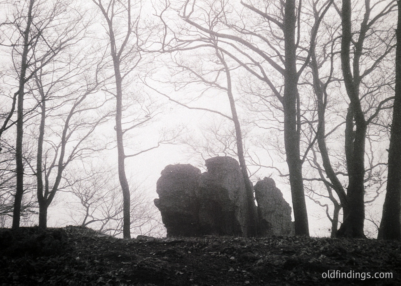 Black-and-white silhouette of three human figures standing on rocky terrain, enveloped in misty forest. Bare trees frame the scene, suggesting late autumn/winter. Atmospheric and moody composition evokes solitude and nature’s grandeur. Likely mid-20th century due to grain and lighting.