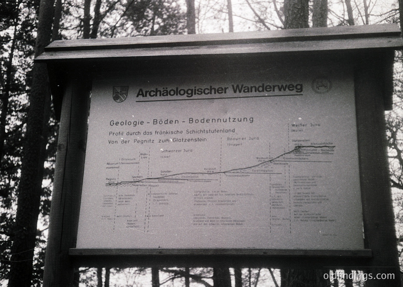 Black-and-white informational signboard titled *"Archaeological Hiking Trail"* detailing geological soil profiles from Pegnitz to Glatzenstein. Text in German outlines soil types, erosion, and land use history. Set in a forested area, likely Germany, mid-20th century.