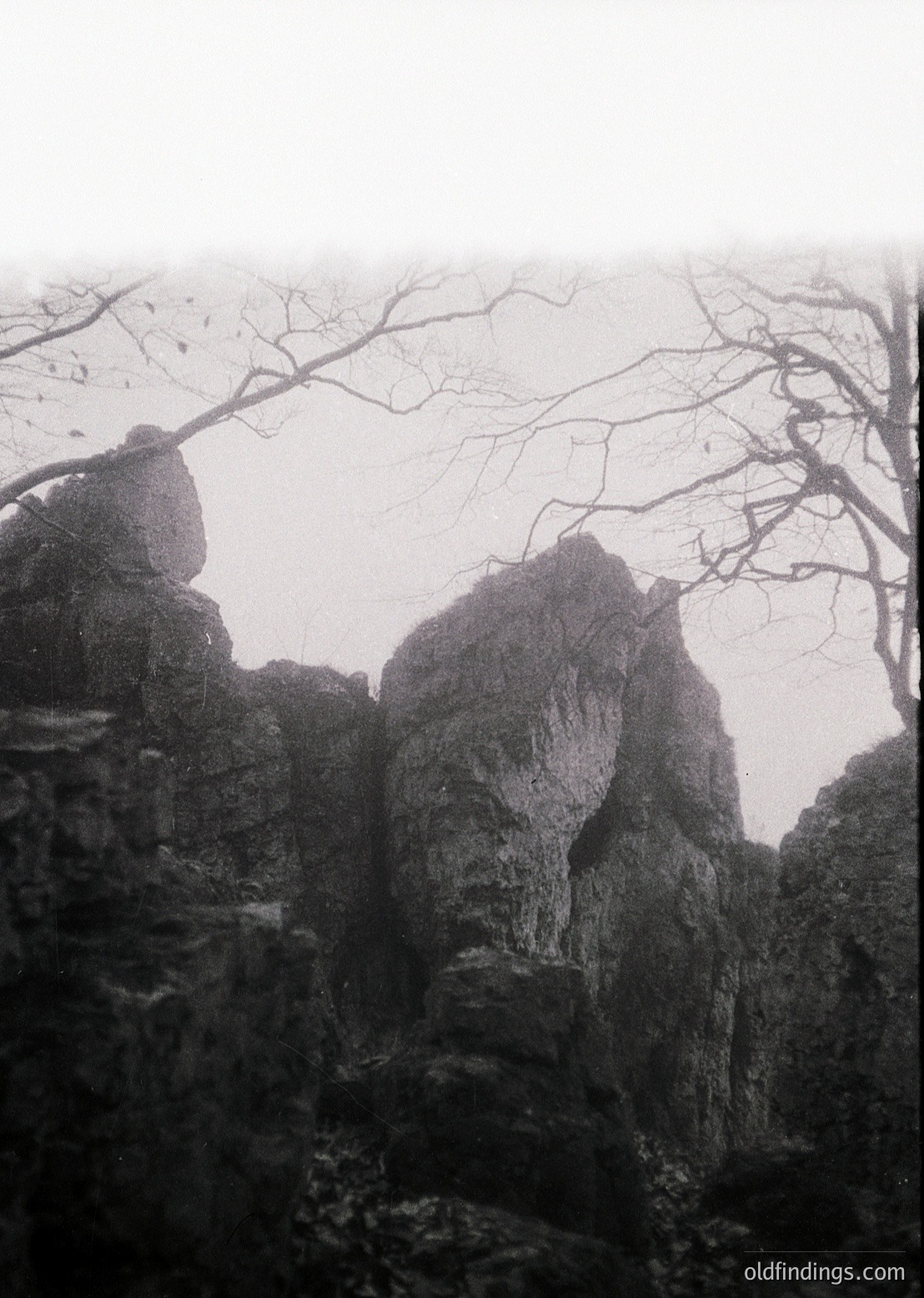 Vintage sepia-toned photograph of rugged, eroded rock formations under leafless trees in misty conditions. Likely early-to-mid 20th century due to grain and lighting. Ideal for historical research or nature-themed design.