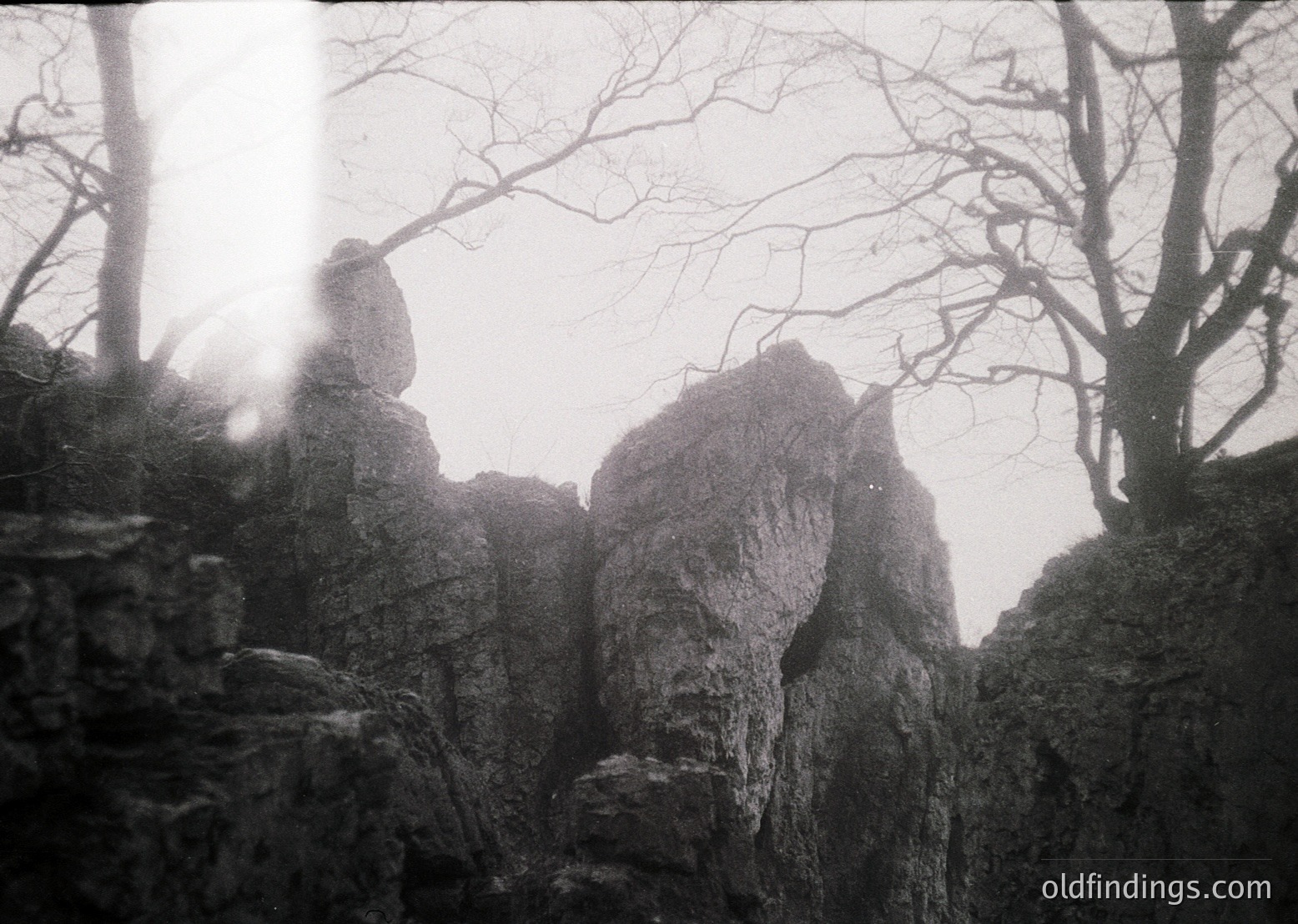 Black-and-white monochrome shot of jagged rock formations in dense fog, framed by skeletal trees. Dramatic lighting enhances texture and silhouette. Likely a mountainous or coastal region, evoking raw natural beauty. Style suggests vintage or artistic photography.
