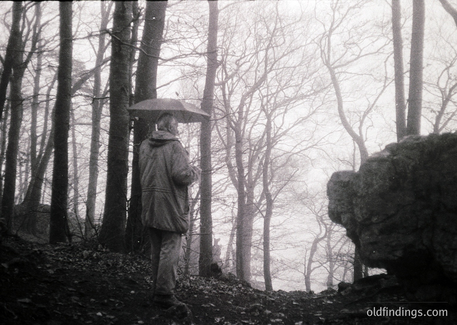 Black-and-white monochrome shot of lone figure in dense forest, holding black umbrella. Mid-century outdoor attire suggests 1950s–1960s. Overcast skies and bare trees imply late autumn/winter. Composition highlights solitude and nature’s stark beauty.