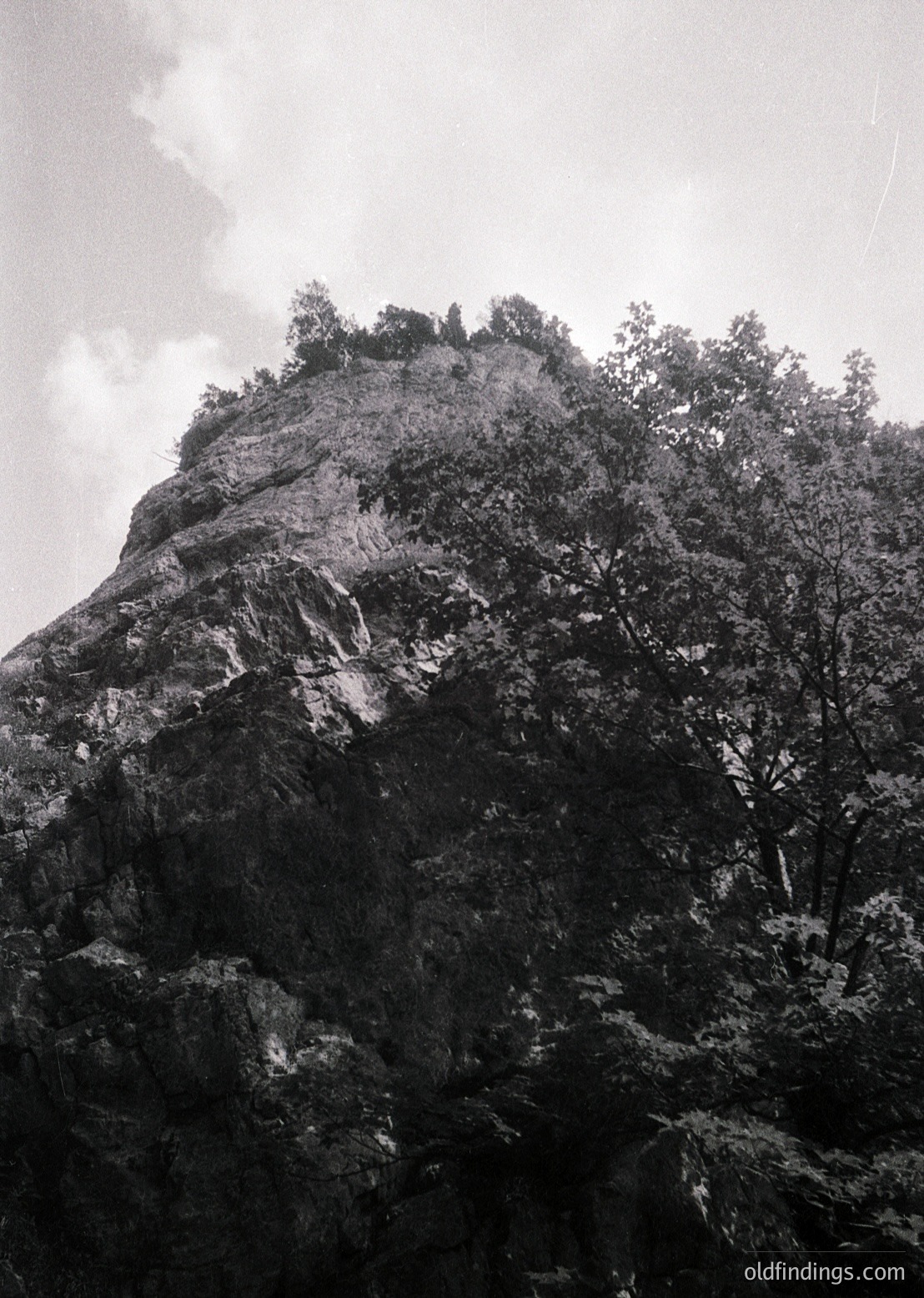Monochrome close-up of rugged alpine rock face with sparse coniferous trees clinging to summit. Dramatic texture contrasts sharp cliffs with dense foliage.