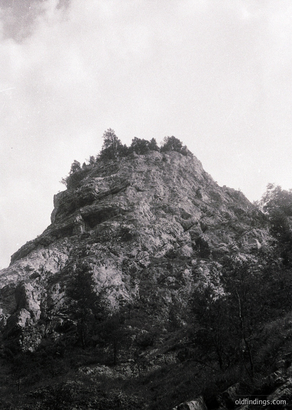 Monochrome close-up of rugged alpine rock formation with sparse tree growth at summit. Dramatic texture contrasts between jagged cliffs and dense foliage.