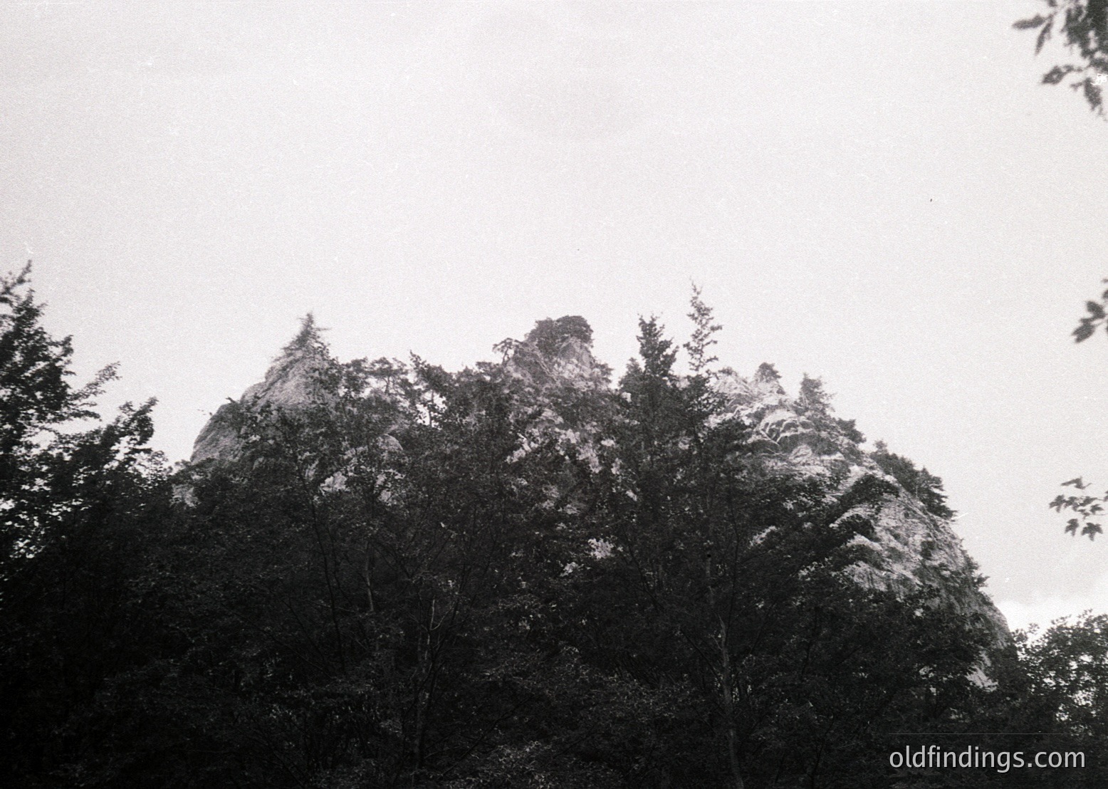 Black-and-white mountain landscape with dense forest foreground. Jagged peaks rise sharply, partially obscured by mist. Likely early-to-mid 20th century due to sepia tone and grain.