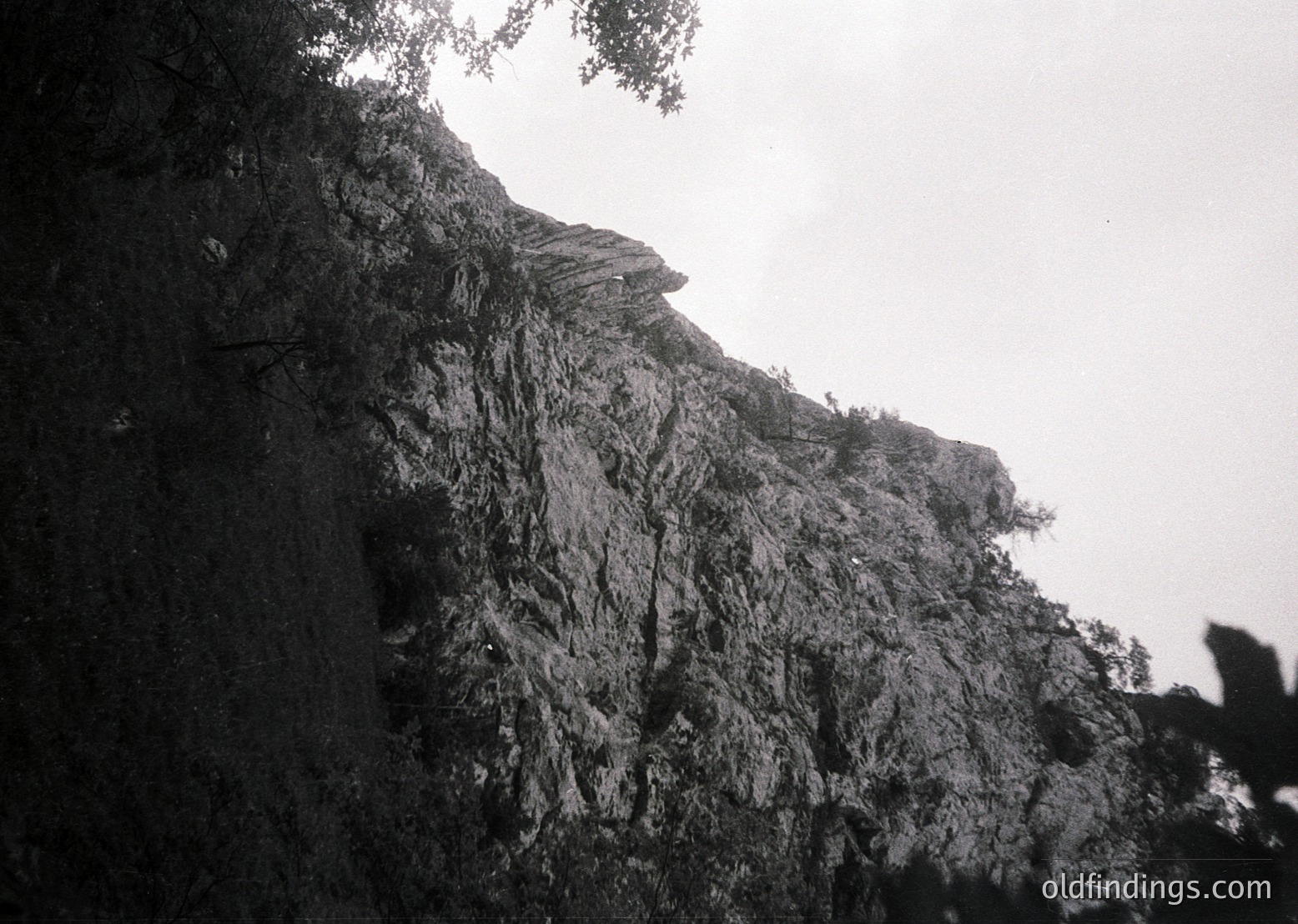 Black-and-white shot of rugged mountain terrain with dense, vertical rock face and sparse vegetation. Dramatic lighting highlights texture and depth. Likely early-to-mid 20th century due to monochrome and grain.