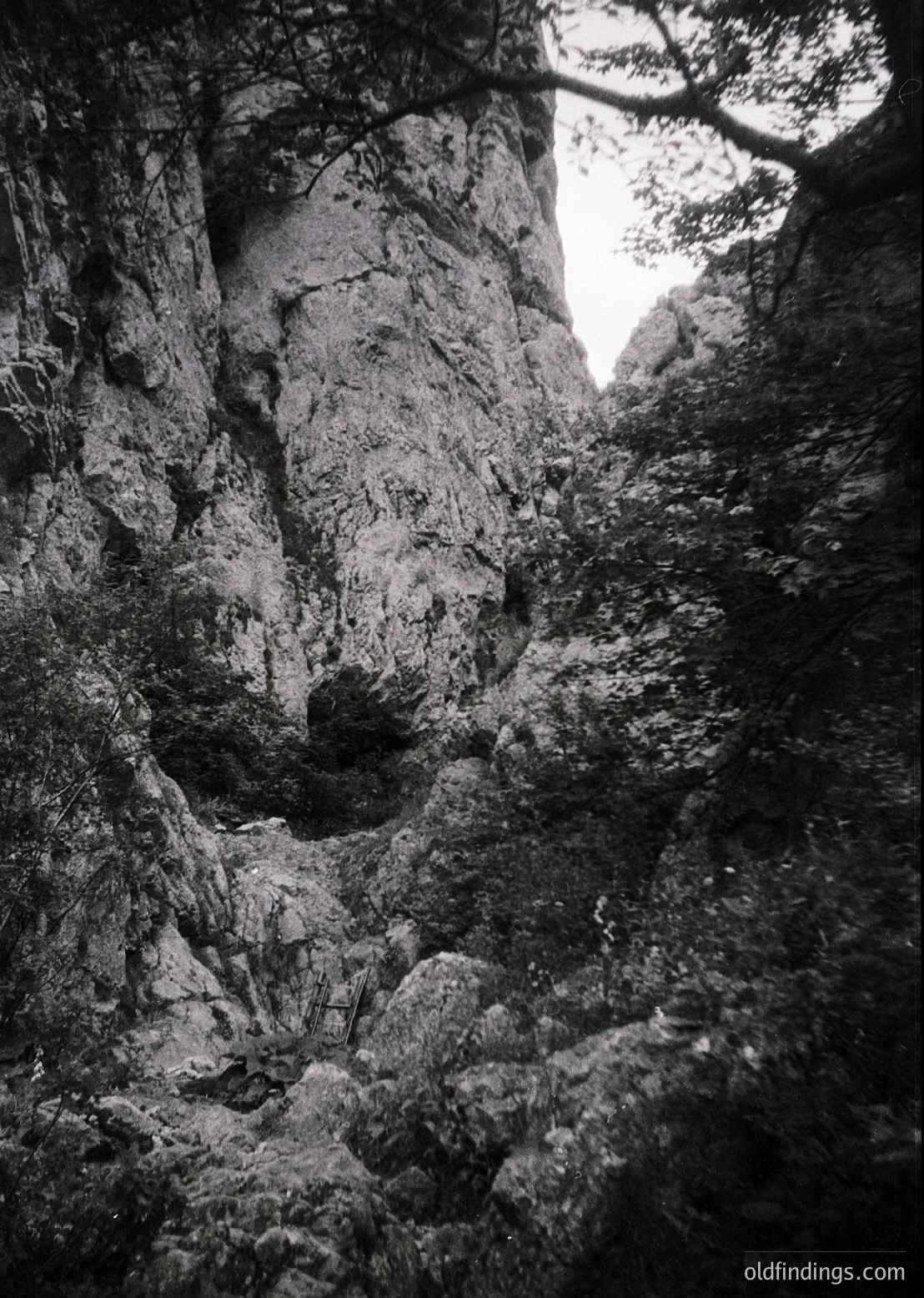Monochrome close-up of jagged limestone rock formations in a narrow canyon, with sunlight filtering through overhead gaps. Dramatic textures and verticality evoke natural architecture. Likely a karst landscape, possibly ’s alpine or Balkan regions.