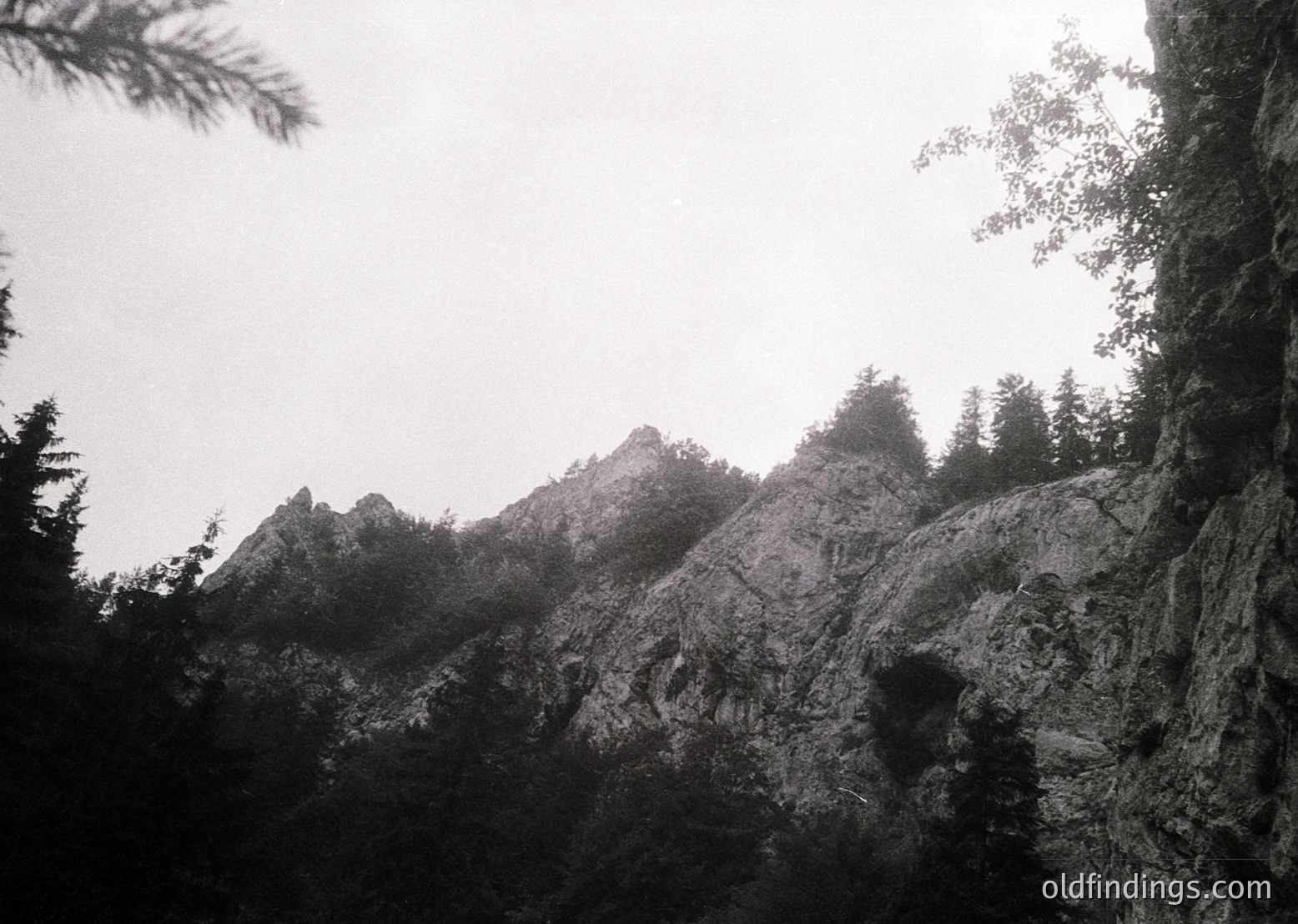 Black-and-white mountain landscape featuring jagged peaks and dense coniferous forest. Mist obscures distant ridges, enhancing atmospheric depth. Overcast sky and rocky outcrops dominate the scene. Ideal for nature, travel, or vintage-inspired design references.
