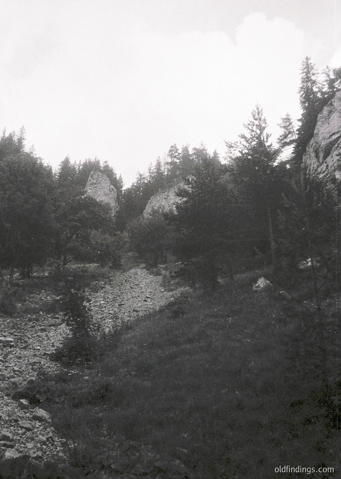 Misty alpine valley with rocky riverbed and dense coniferous forest. Dramatic rock formations frame the scene, suggesting rugged terrain. Black-and-white tone enhances texture and depth. Ideal for nature-inspired design or historical landscape studies.