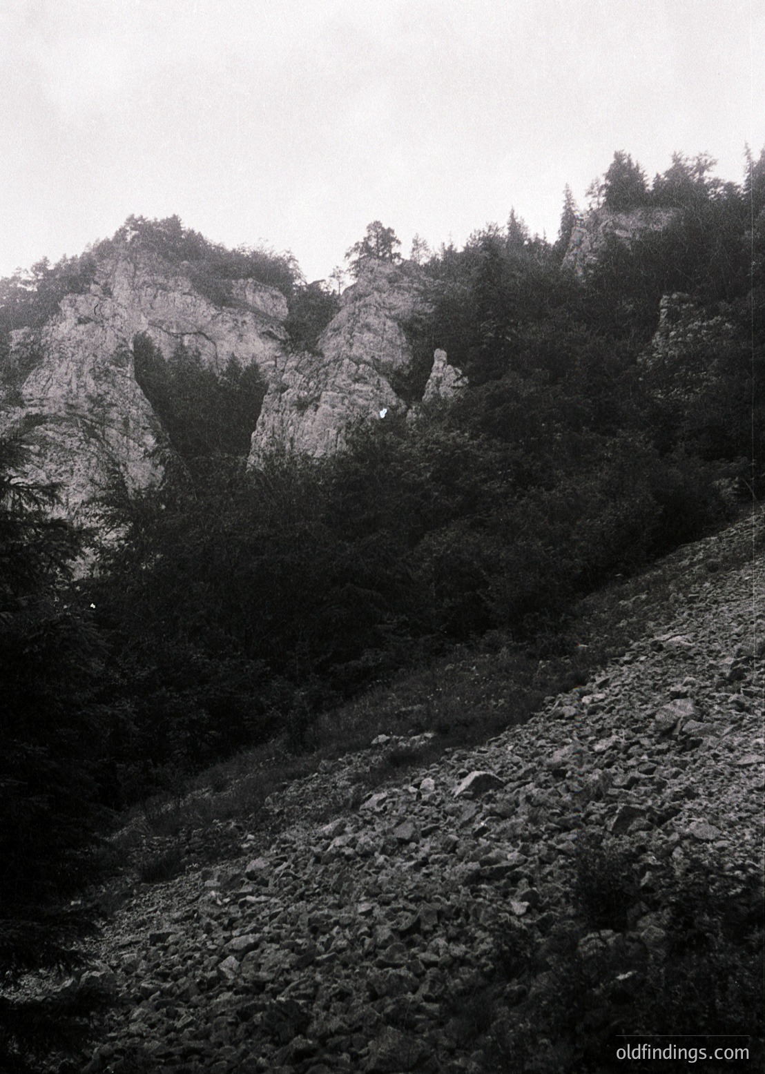 Dramatic monochrome mountain landscape with rugged rock formations and dense forest. Overcast skies enhance the moody, textured terrain. Likely European alpine region.