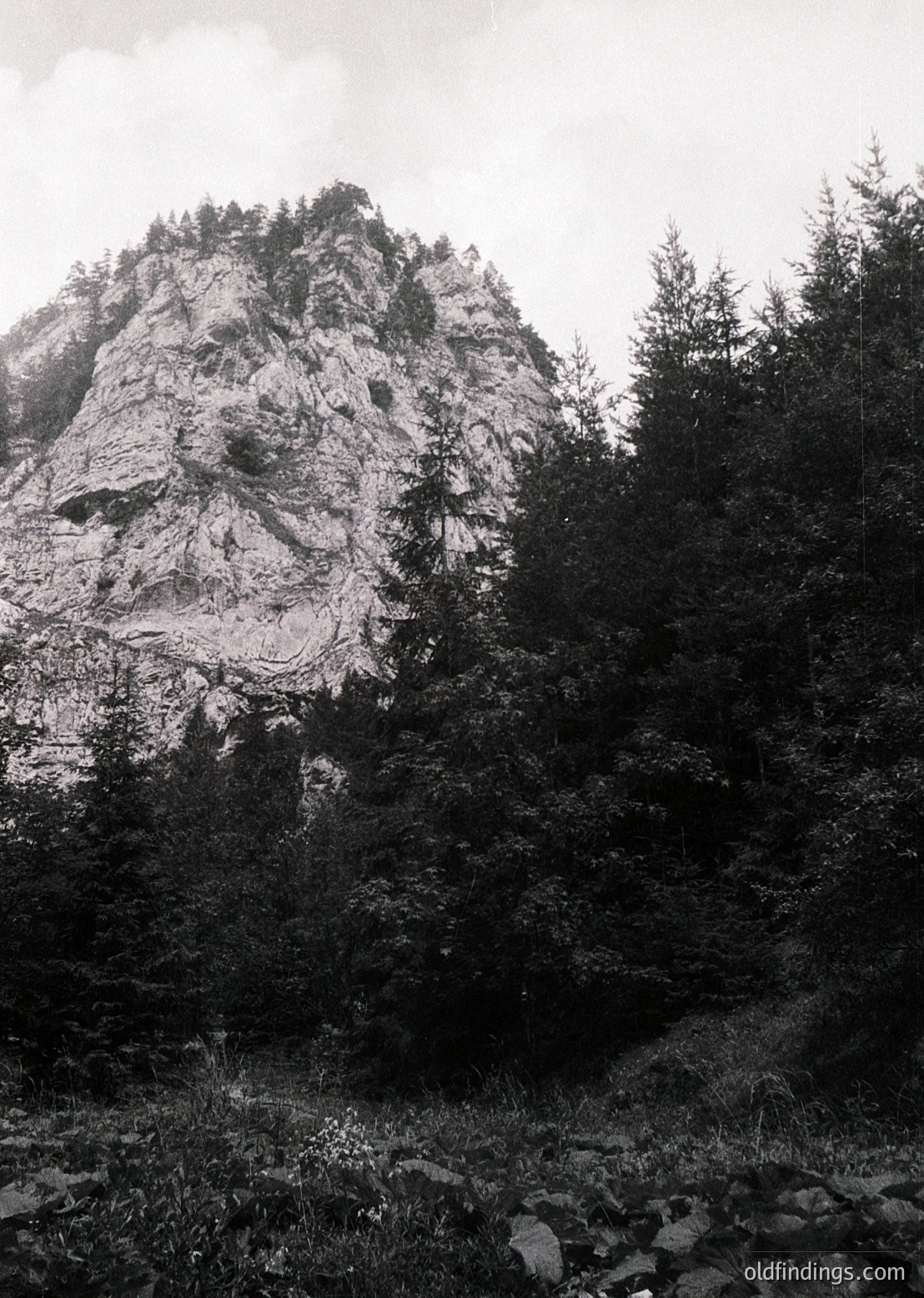 Dramatic monochrome shot of rugged alpine rock formations rising steeply from dense coniferous forest. The jagged peaks and layered rock strata suggest glacial erosion. Ideal for nature, adventure, or geological study references.