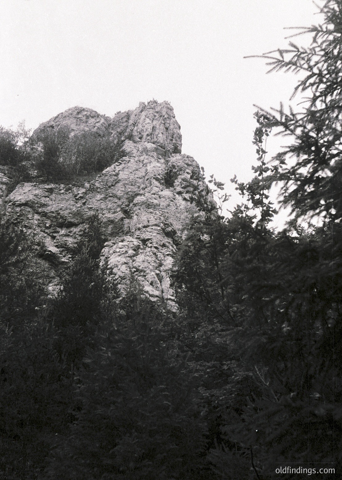 Towering rock formation rising from dense forest, captured in high-contrast black-and-white. Jagged, weathered surface contrasts with surrounding foliage, evoking raw natural beauty. Likely European alpine or mountainous region.