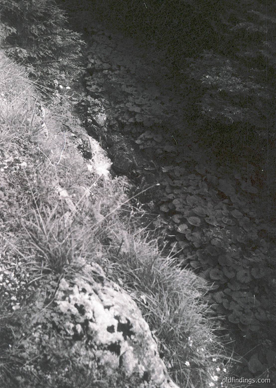 High-contrast black-and-white shot of a narrow, rocky stream bed with sparse vegetation. Dry river stones and tufted grass frame the shallow water flow. Likely captured in a mountainous or alpine region.