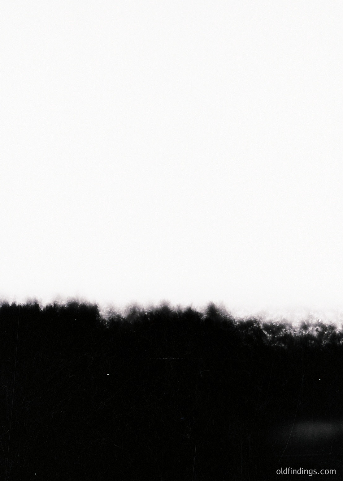 High-contrast black-and-white landscape featuring dense forest under low-hanging clouds. Dense tree canopy dominates lower half; mist or fog obscures distant horizon. Timeless, atmospheric composition ideal for moody nature or travel inspiration.