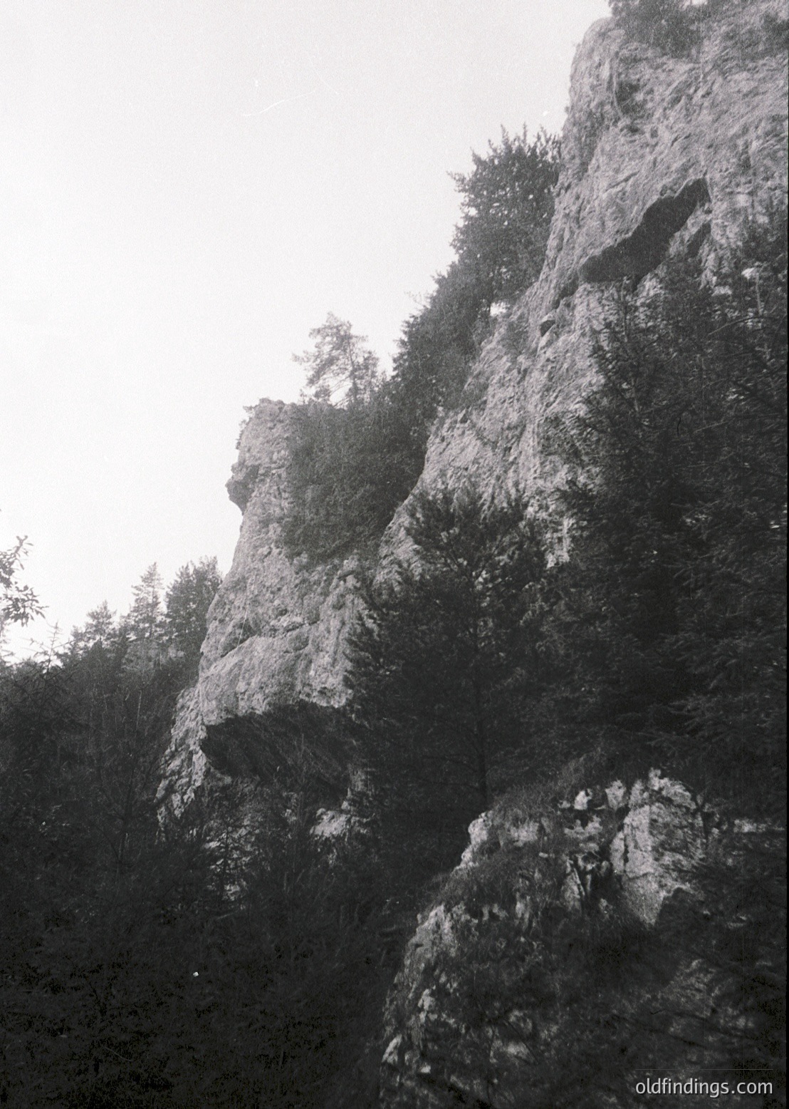 Dramatic monochrome close-up of rugged limestone cliffs with jagged, weathered rock formations. Dense forest base contrasts with exposed, textured rock layers.